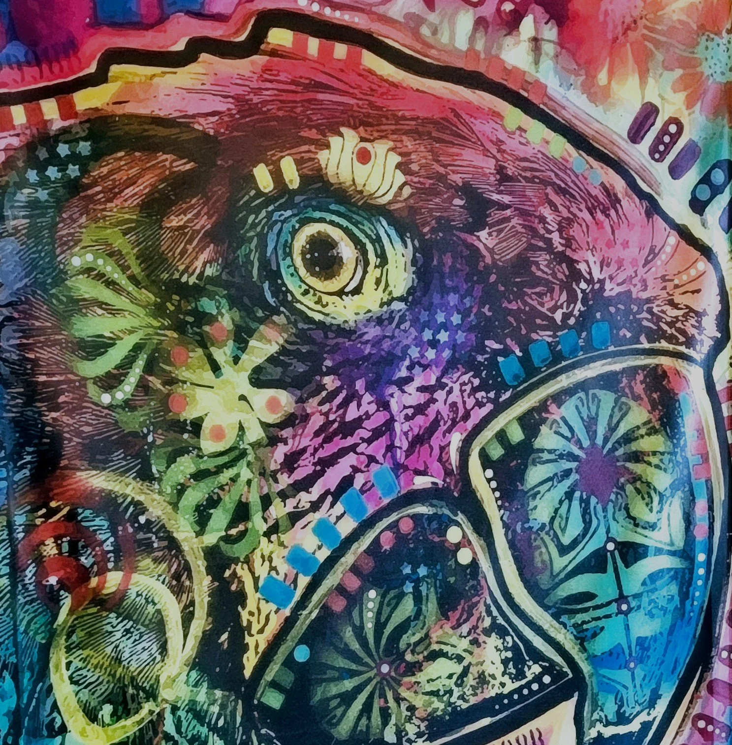 Parrothead