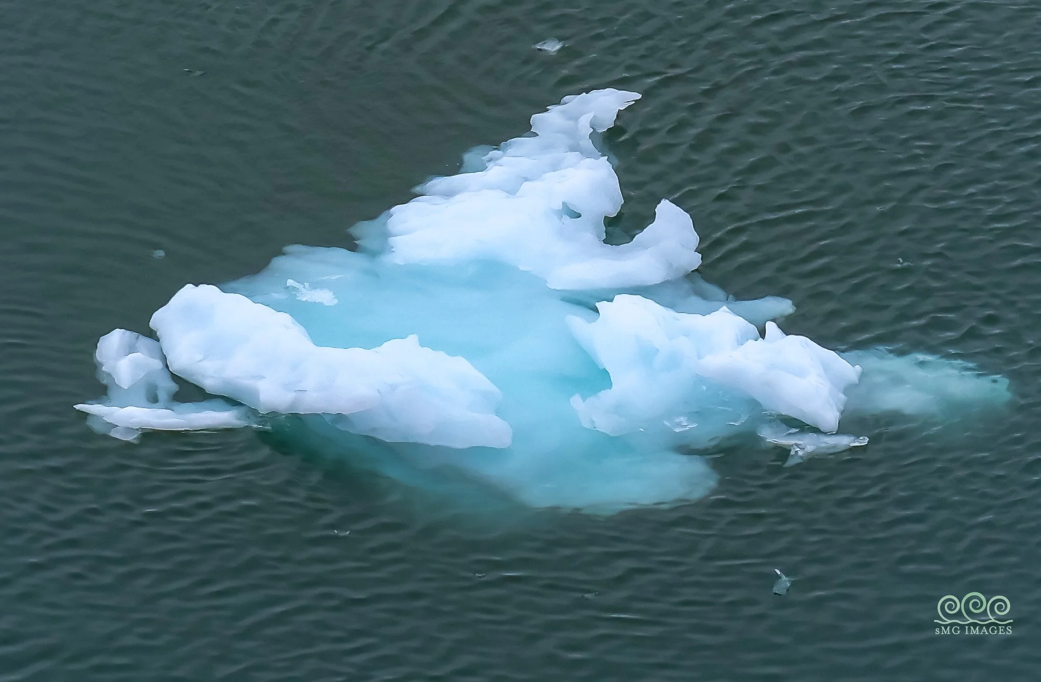 White Mountain RR, Glacier Bay & College Fjord