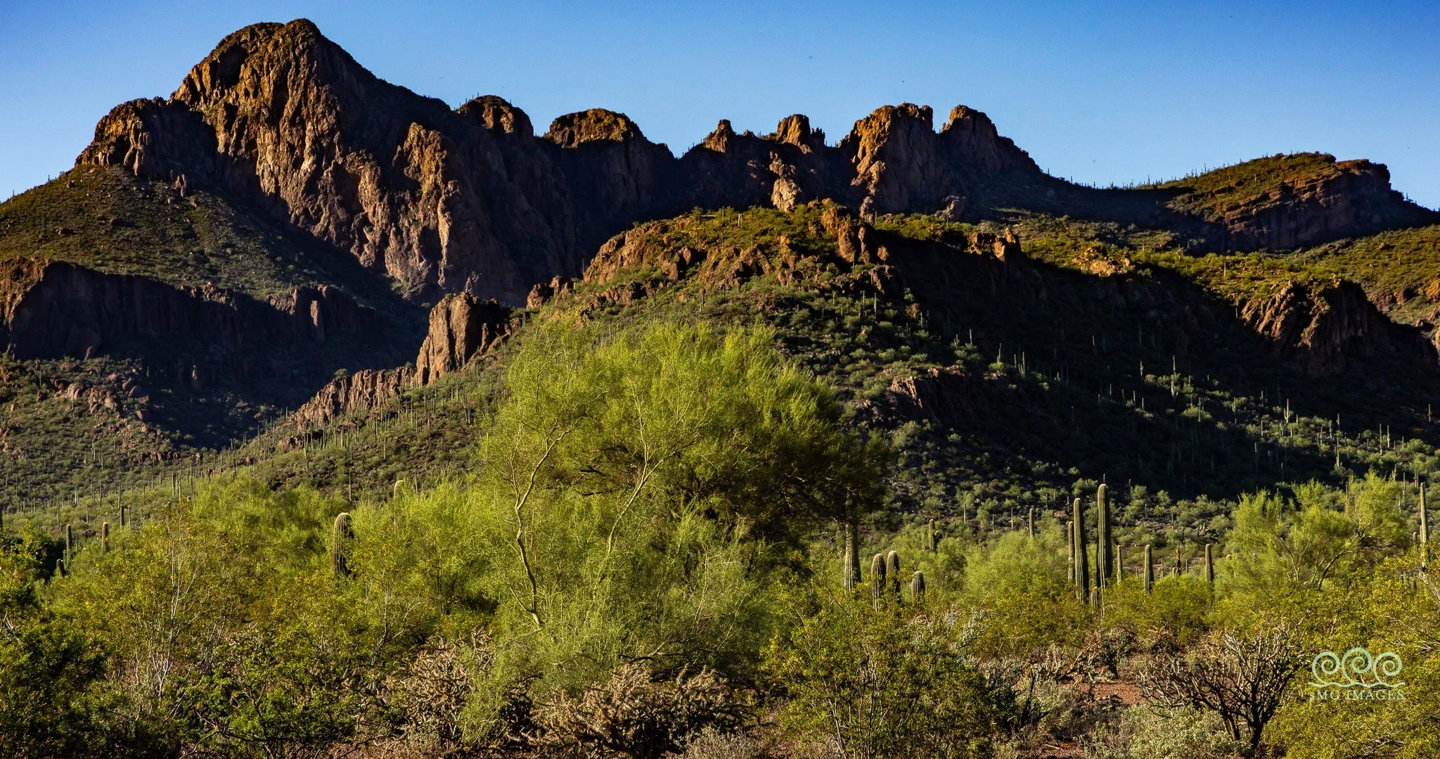 Tucson Mnts-Sombrero Mnt Greens (West View)