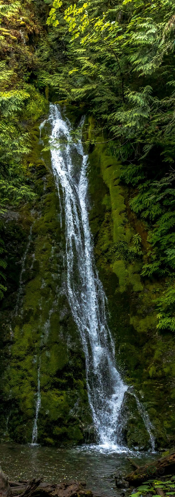 Wa-Olympic NP Madison Falls