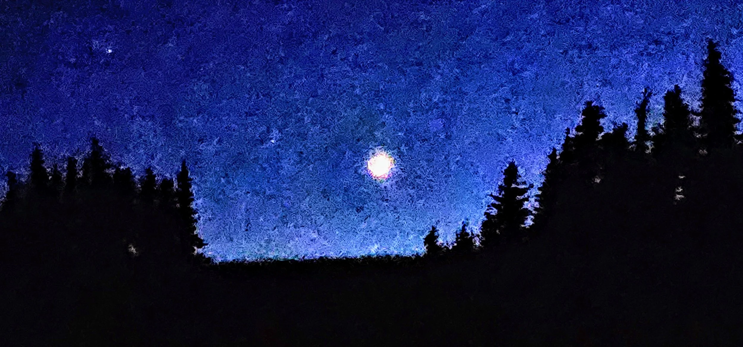 Wa-Olympic NP-Midnight Stargazing