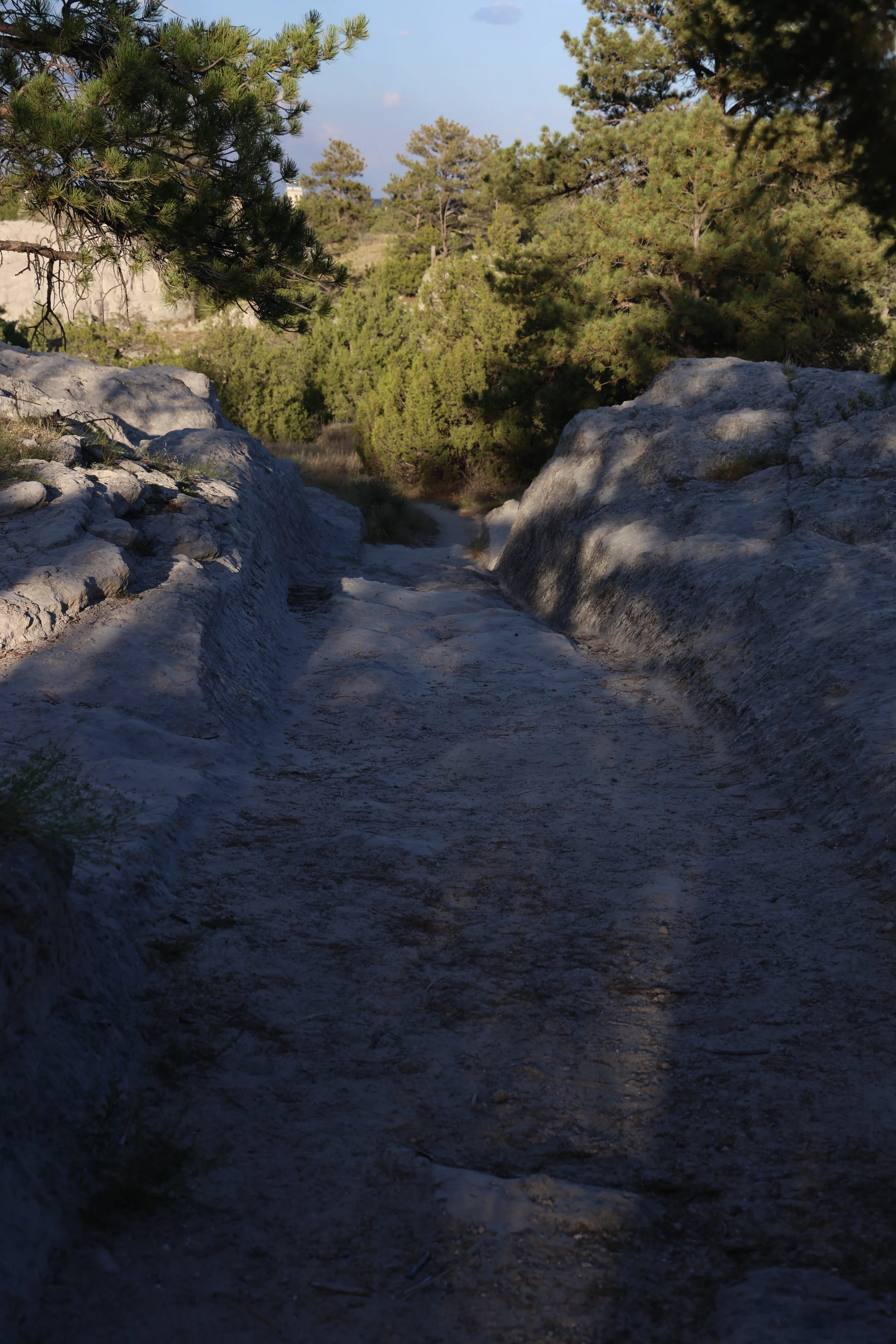 WY-Oregon Trail Ruts