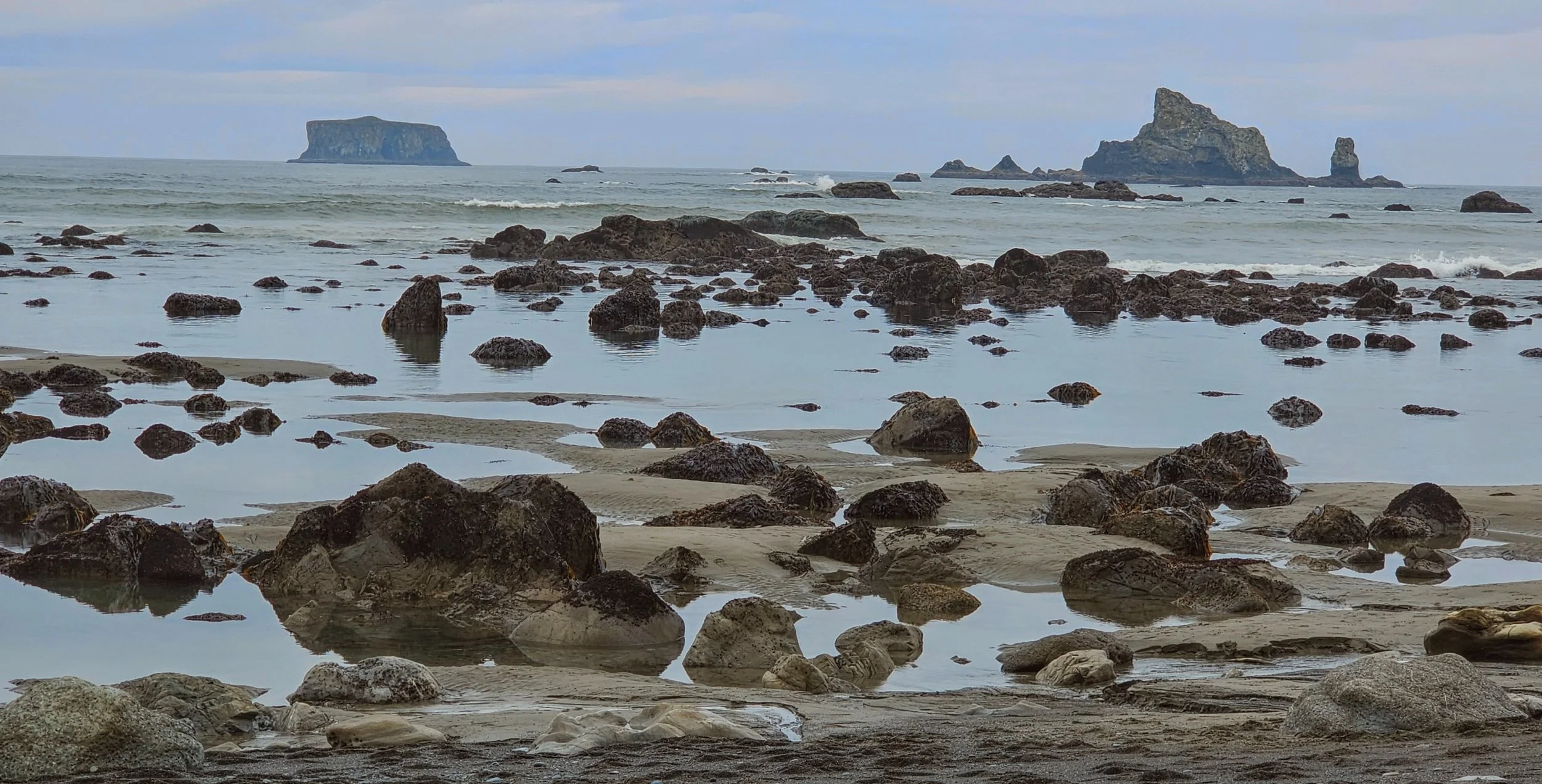 Wa-Rialto Beach Full Tide Out