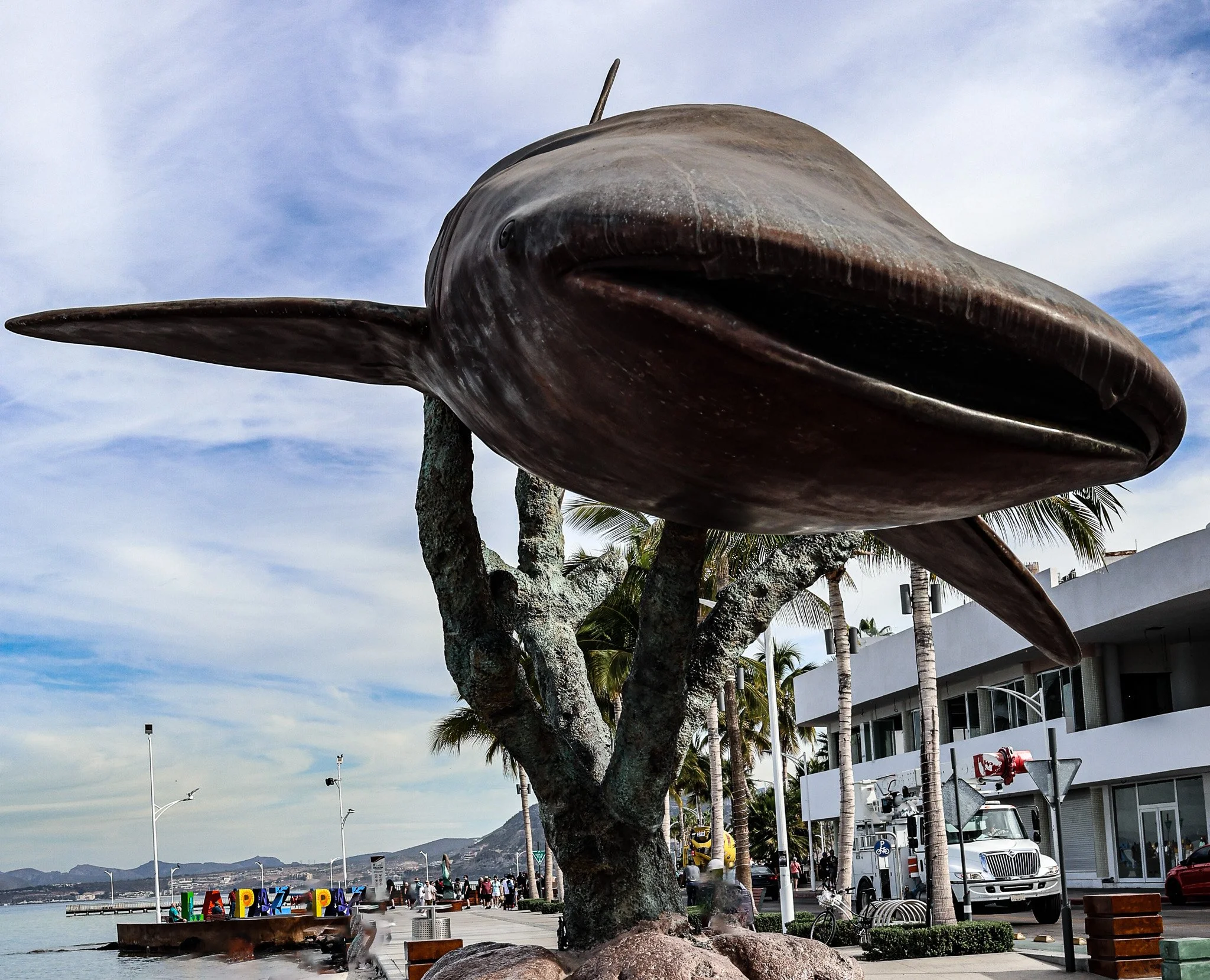 La Paz-Whale Shark Art