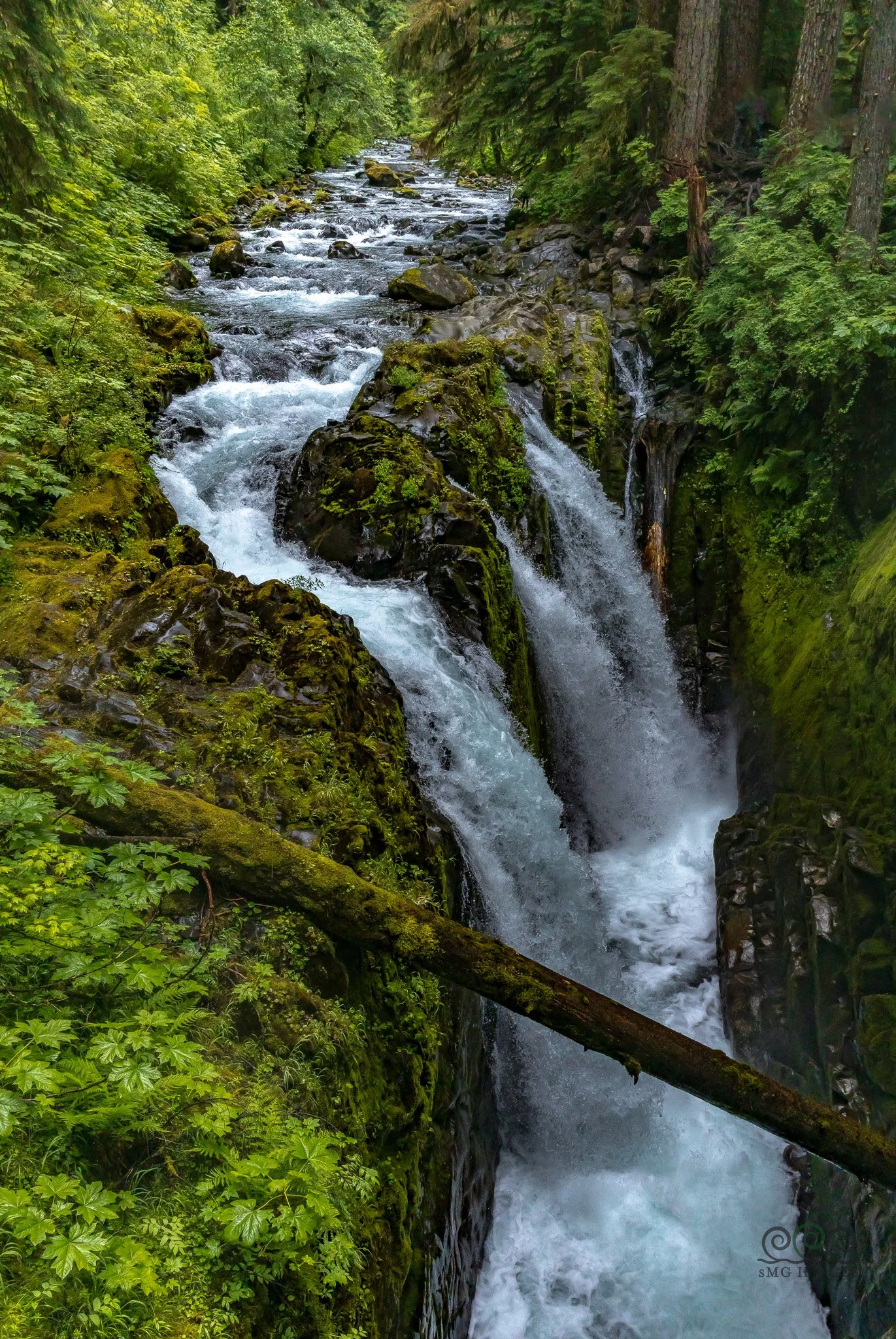 Wa-Olympic NP Sul Duc Falls