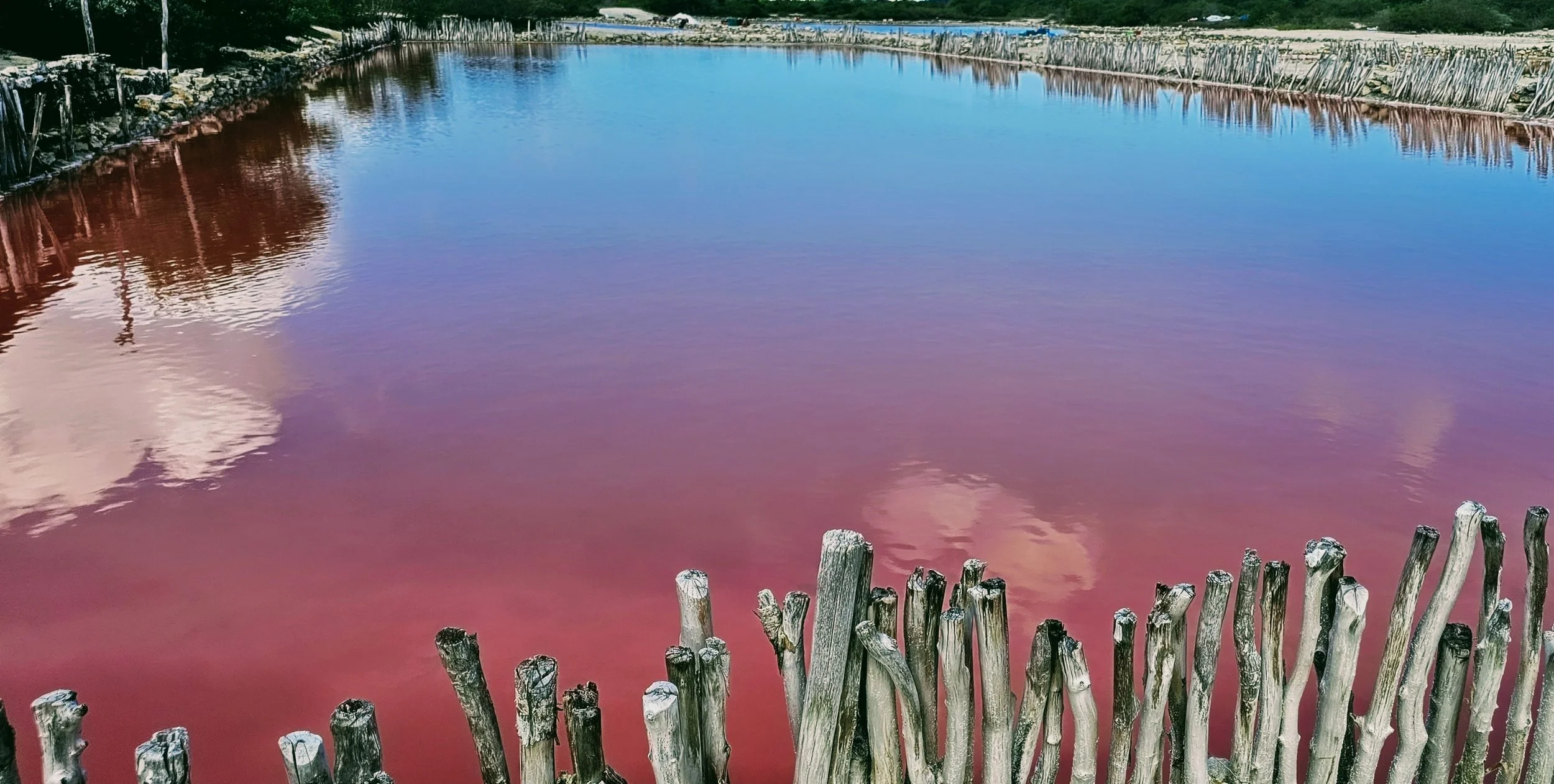 Pink Lakes First look