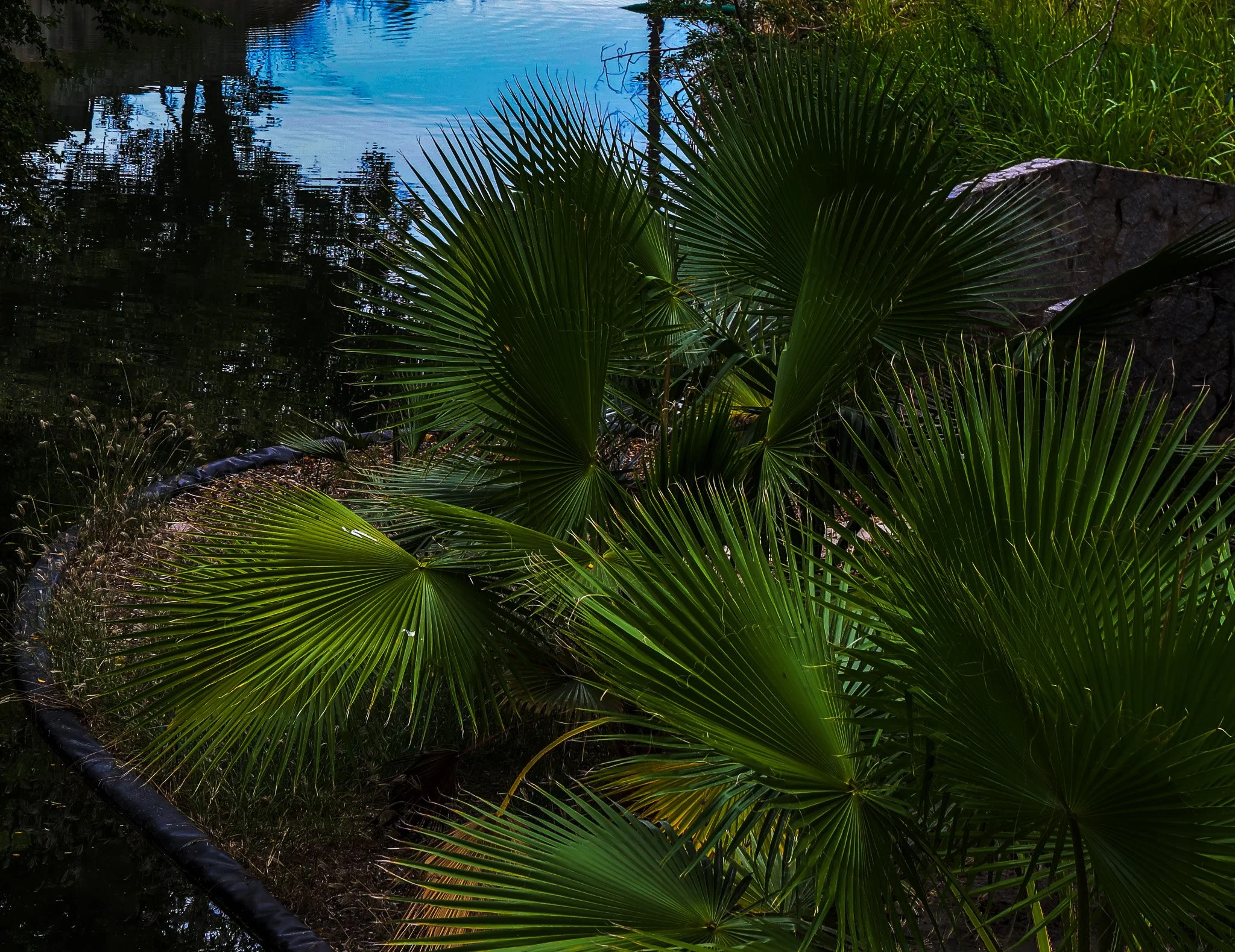 PV-Lush Gardens Near Port