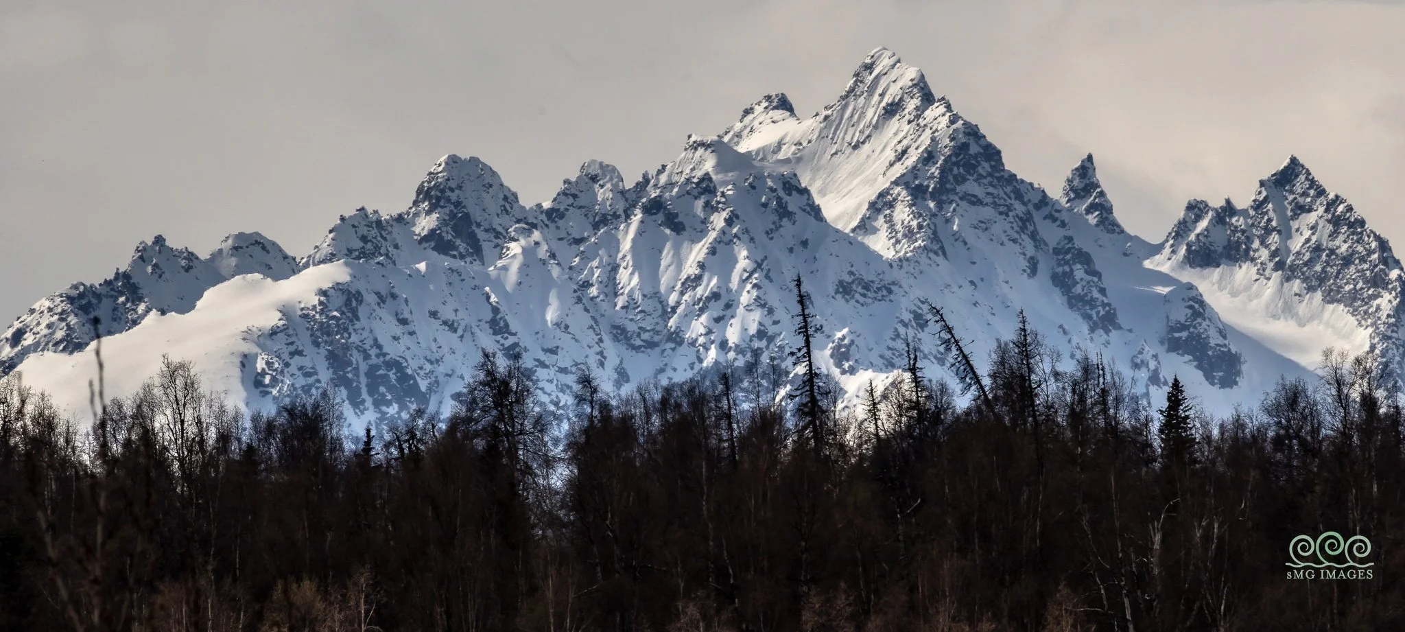 Mt MCKinley Deck View