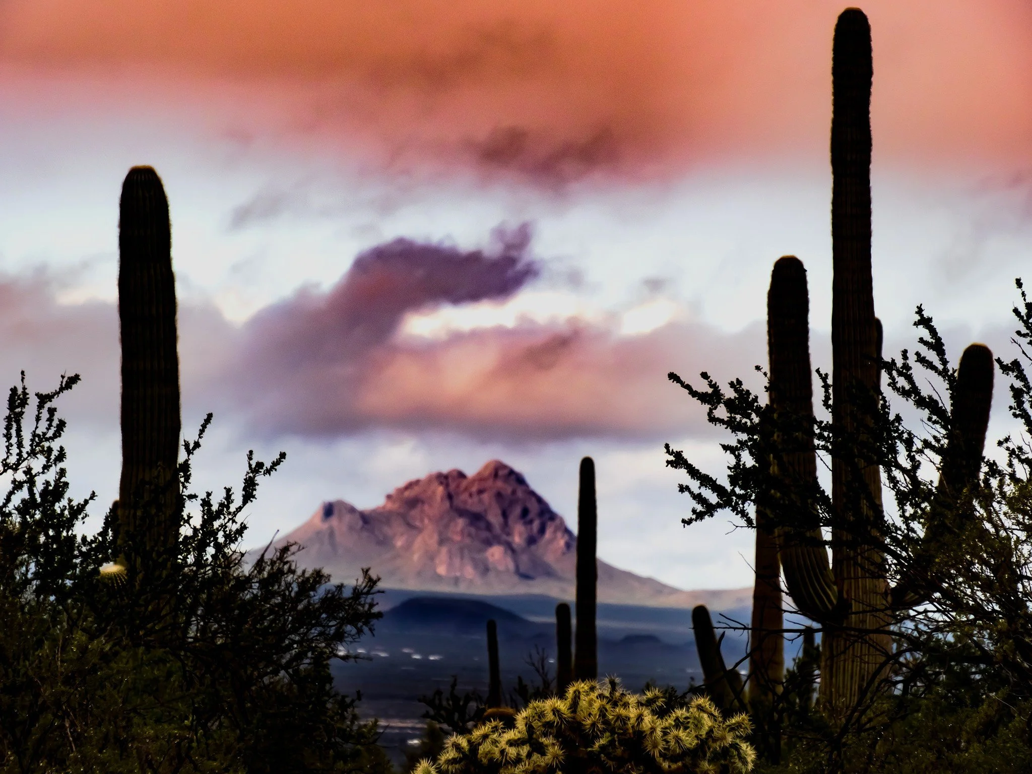 Seguaro West Morning Storm
