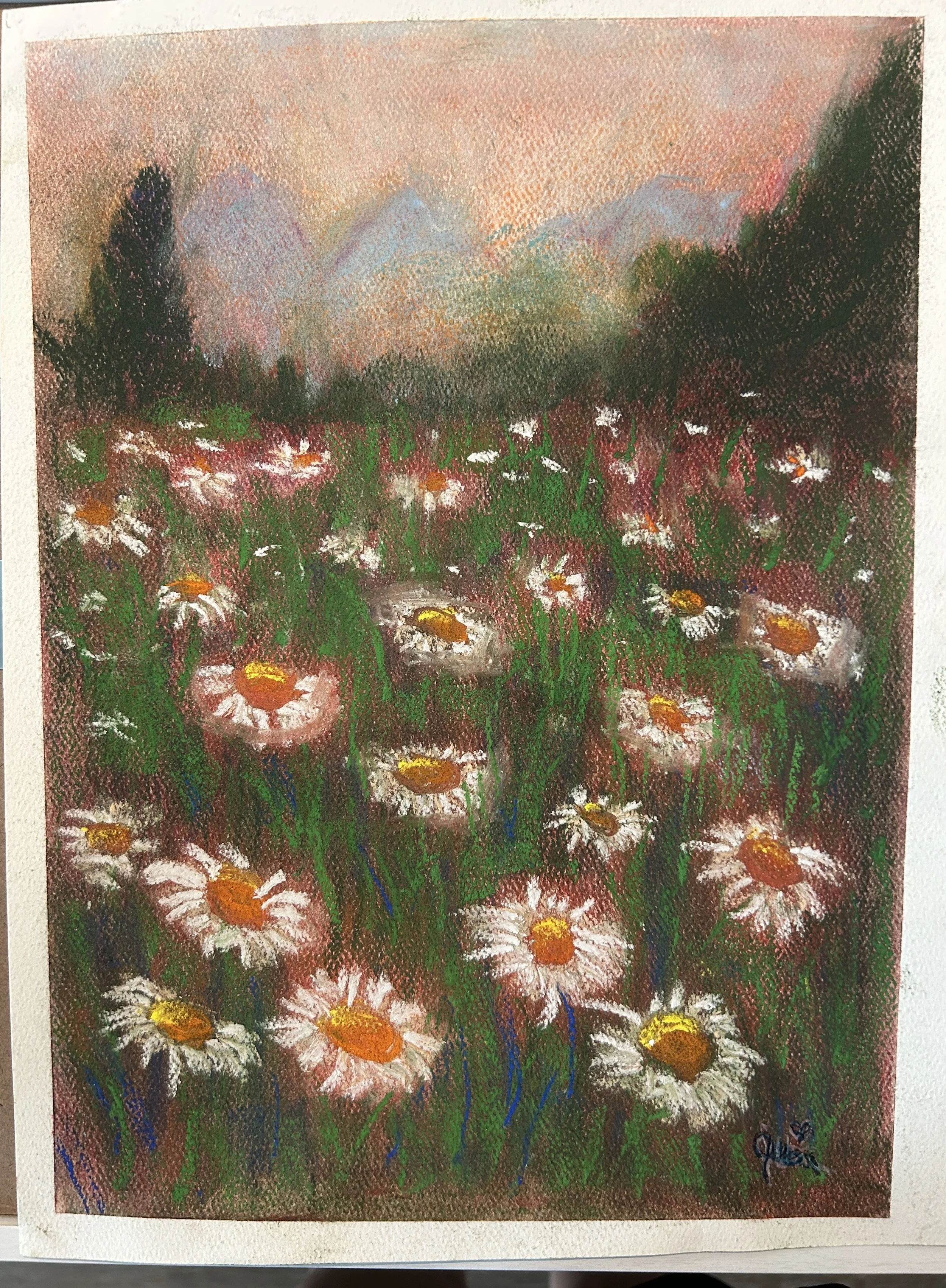 Summer Daisies.jpg