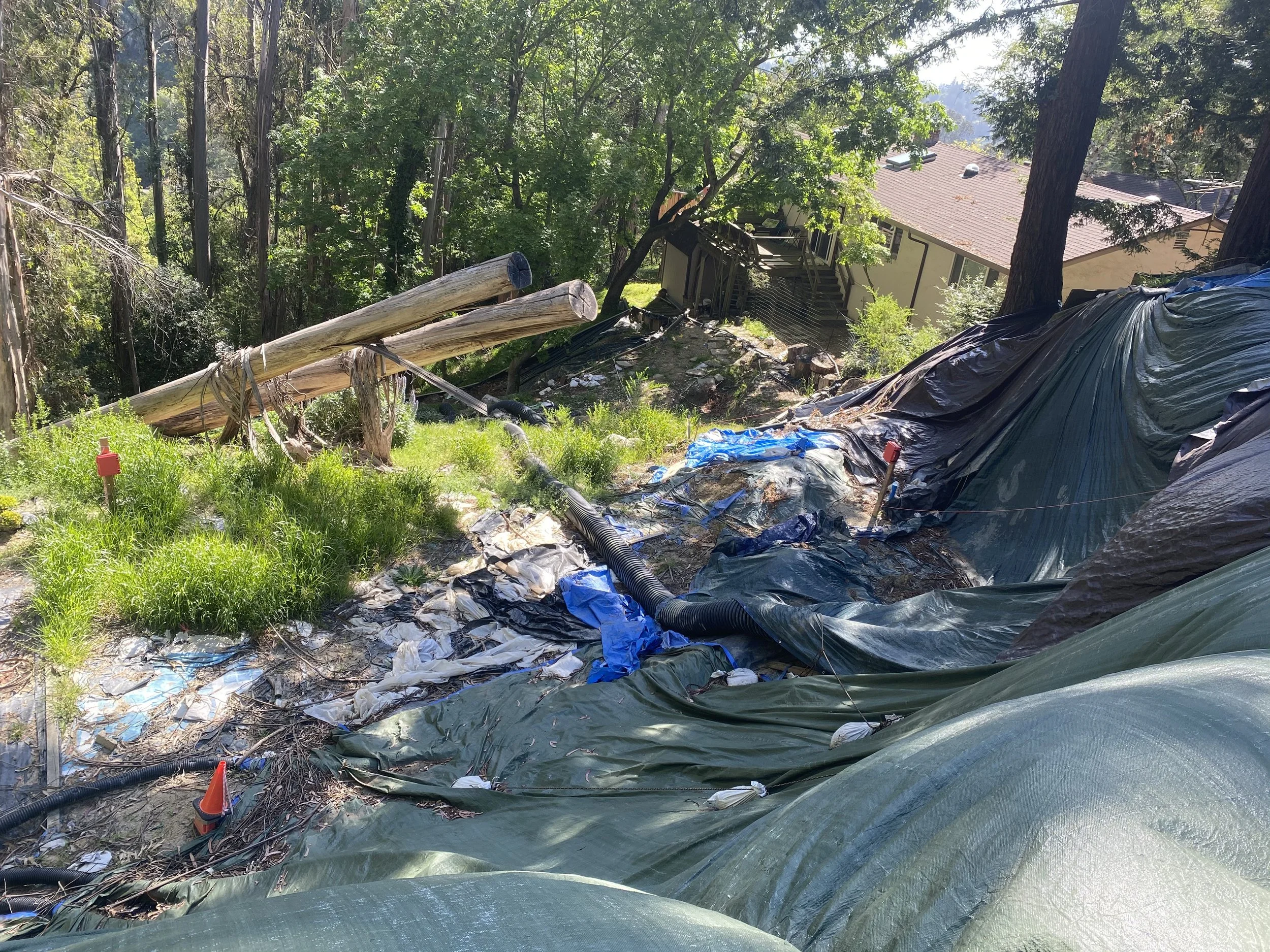 Damaged area with fallen trees, debris, and black drainage pipes near a residence surrounded by trees.