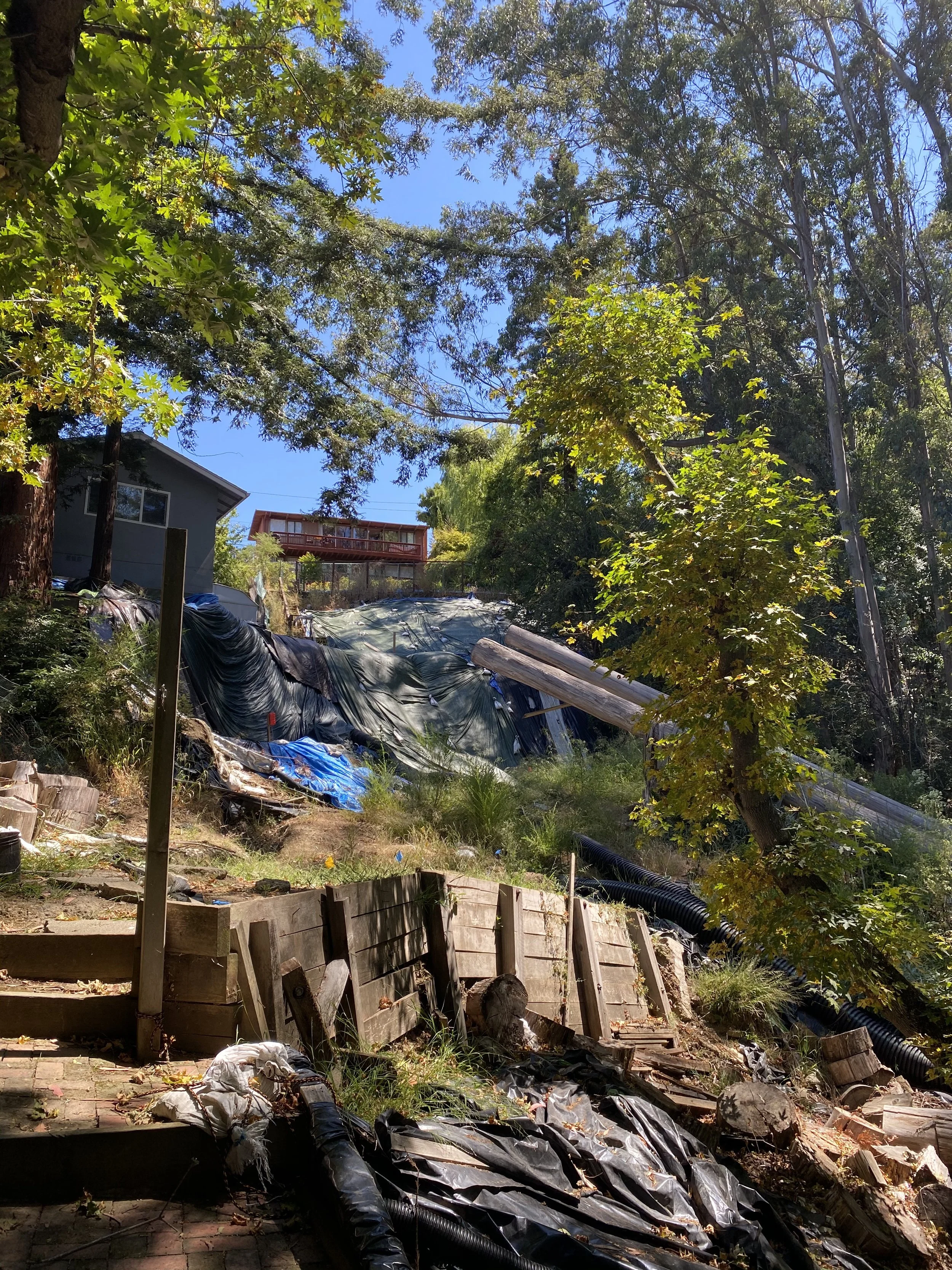 Steep hillside with debris, tarps, and fallen trees, surrounded by tall trees and a blue sky.