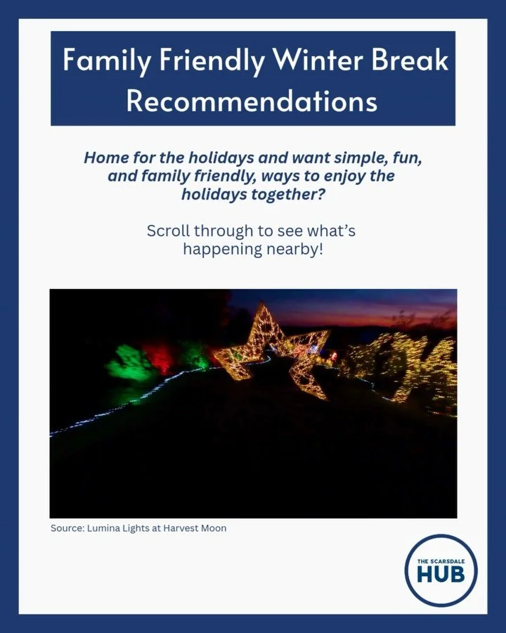 Home over the holidays? Check out some of our favorite family friendly Westchester picks for your snowy staycation! ❄️☃️🎄