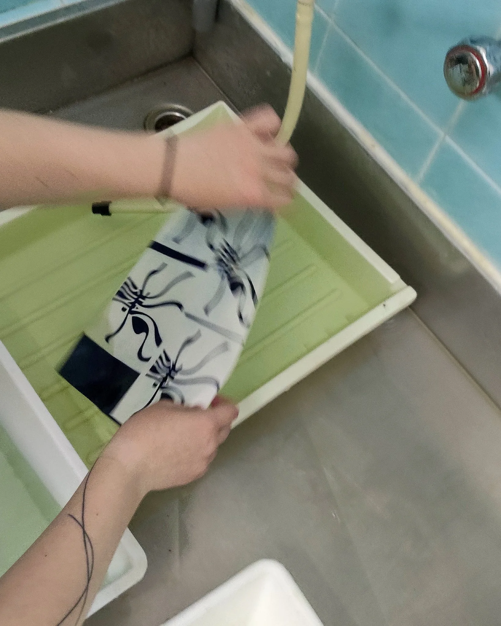 Erica Ghiorzo - wip.jpg