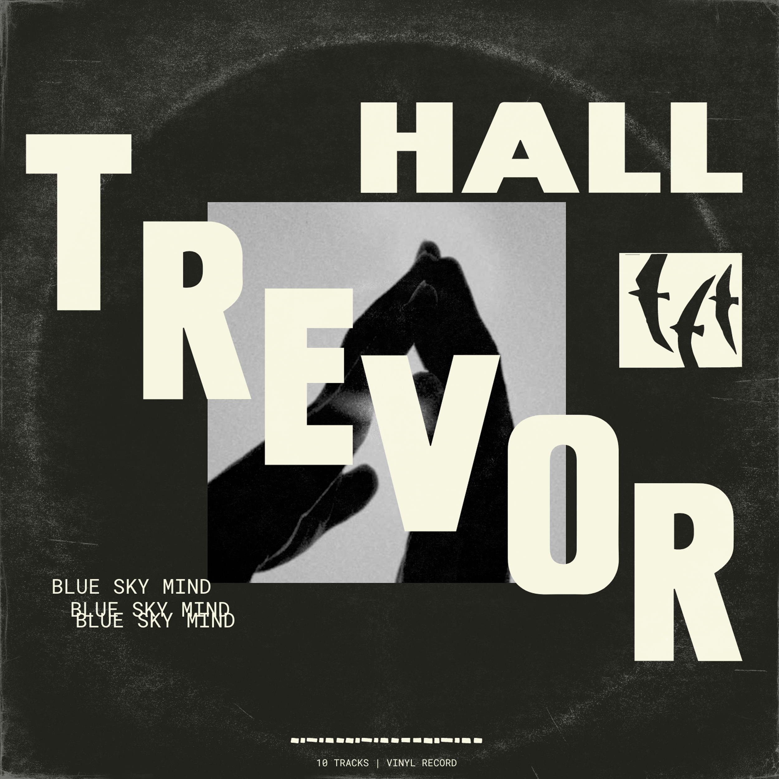 TtevorHall Sleeve.png