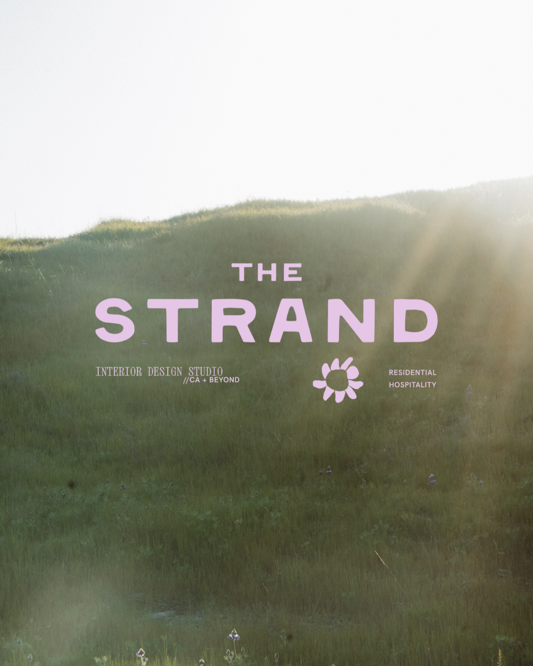 the strand reel (Instagram Post (45)) (1).png
