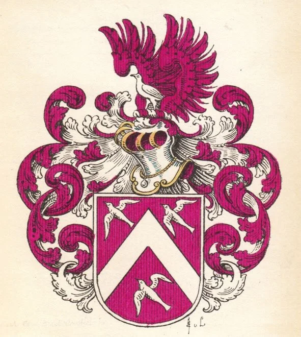 A detailed coat of arms with a magenta and white shield featuring three white birds, topped with a crest of a bird standing on a helmet, surrounded by intricate magenta and white heraldic mantling.