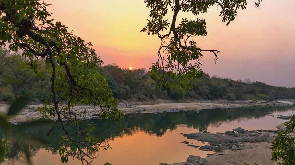 Sunrise over the Faro River in Africa, showcasing stunning natural scenery.