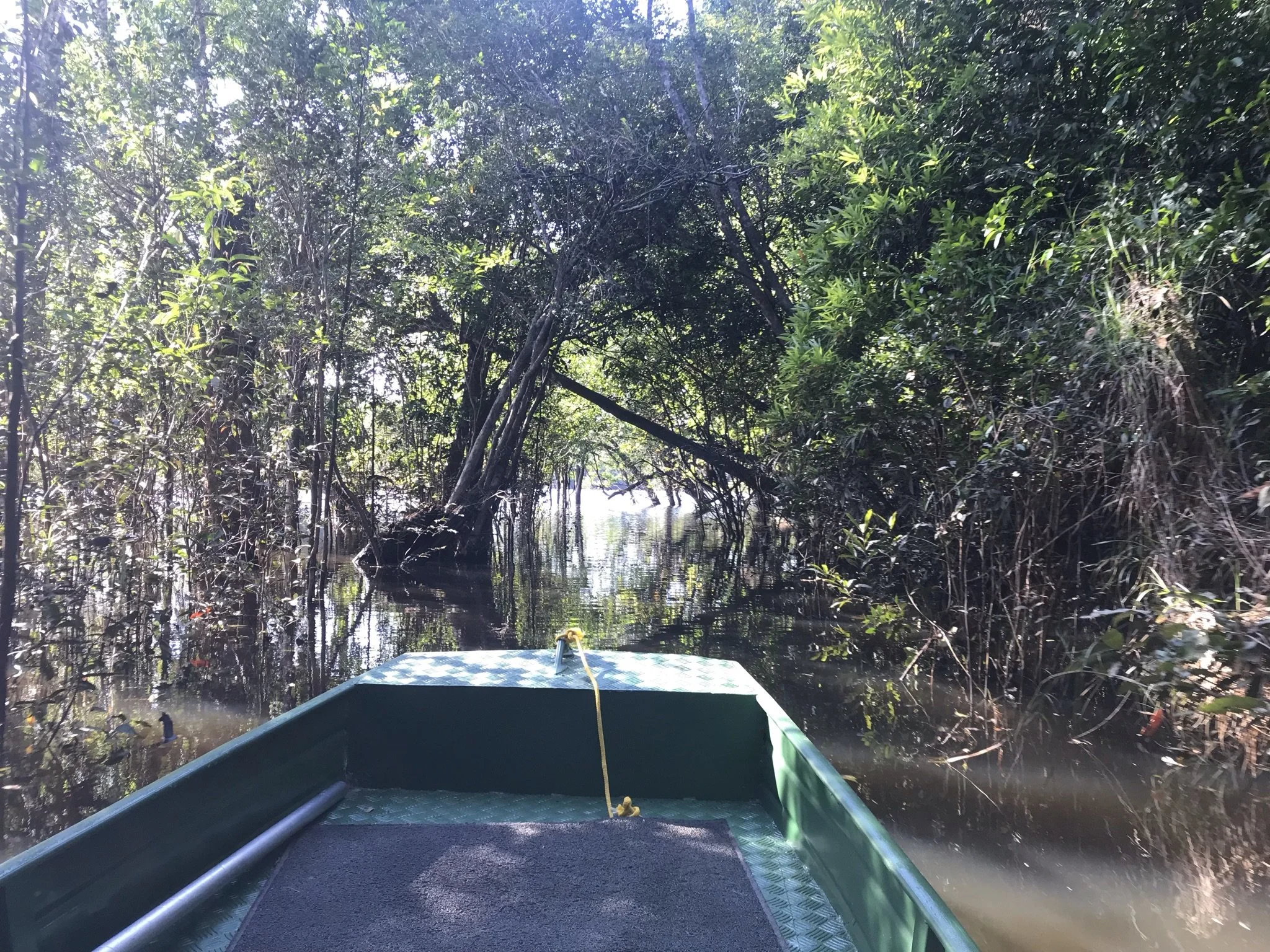 Fishing boat from Agua Boa Amazon Lodge navigating the flooded Amazon jungle in Brazil