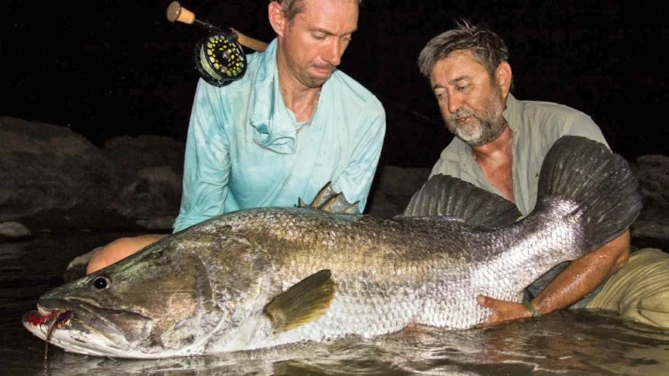 Spectacular giant perch caught from the Faro River in Africa – top freshwater fishing adventure.