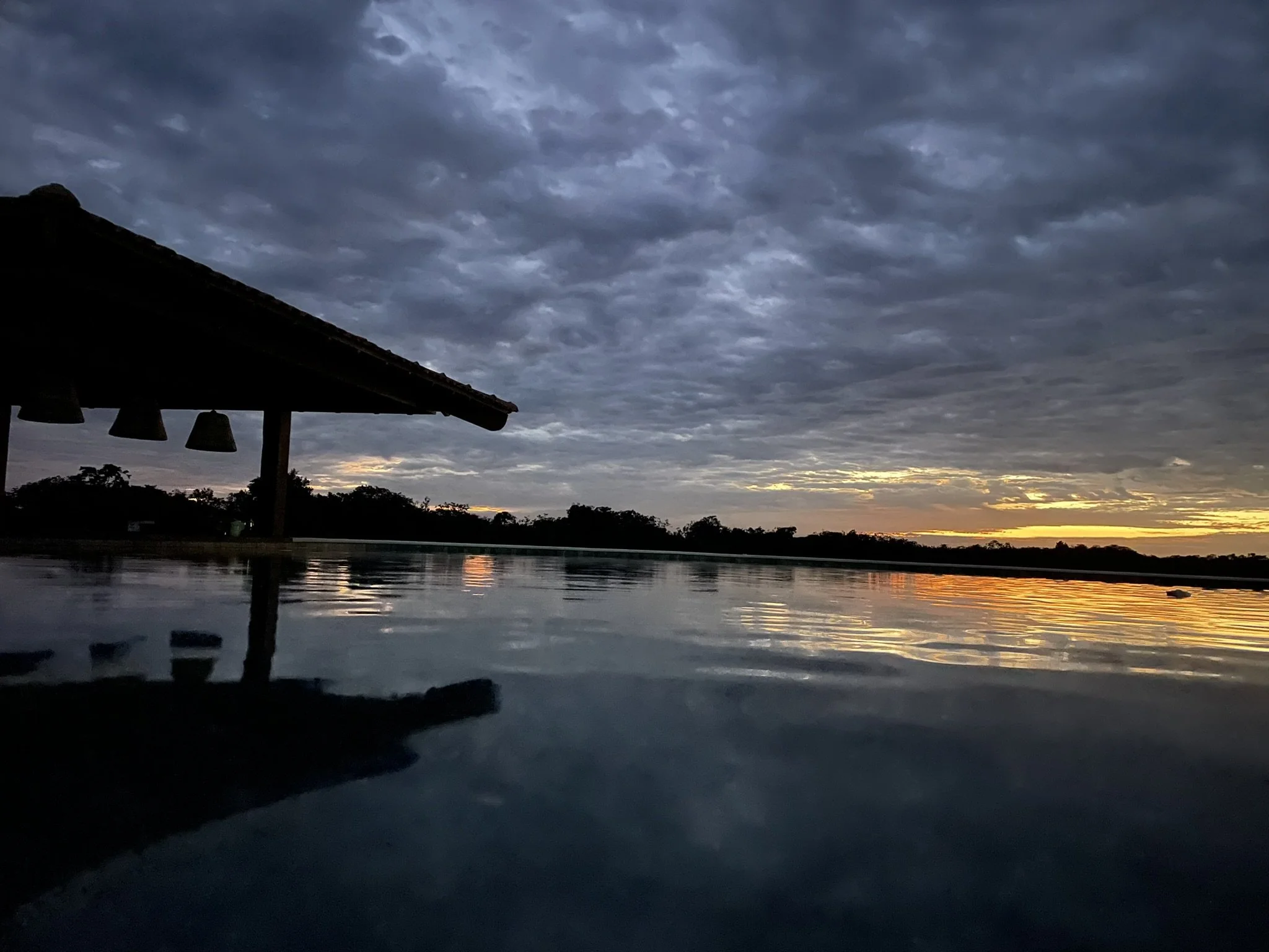 Sunset over a calm pool with a dark, cloudy sky and silhouettes of trees in the distance.