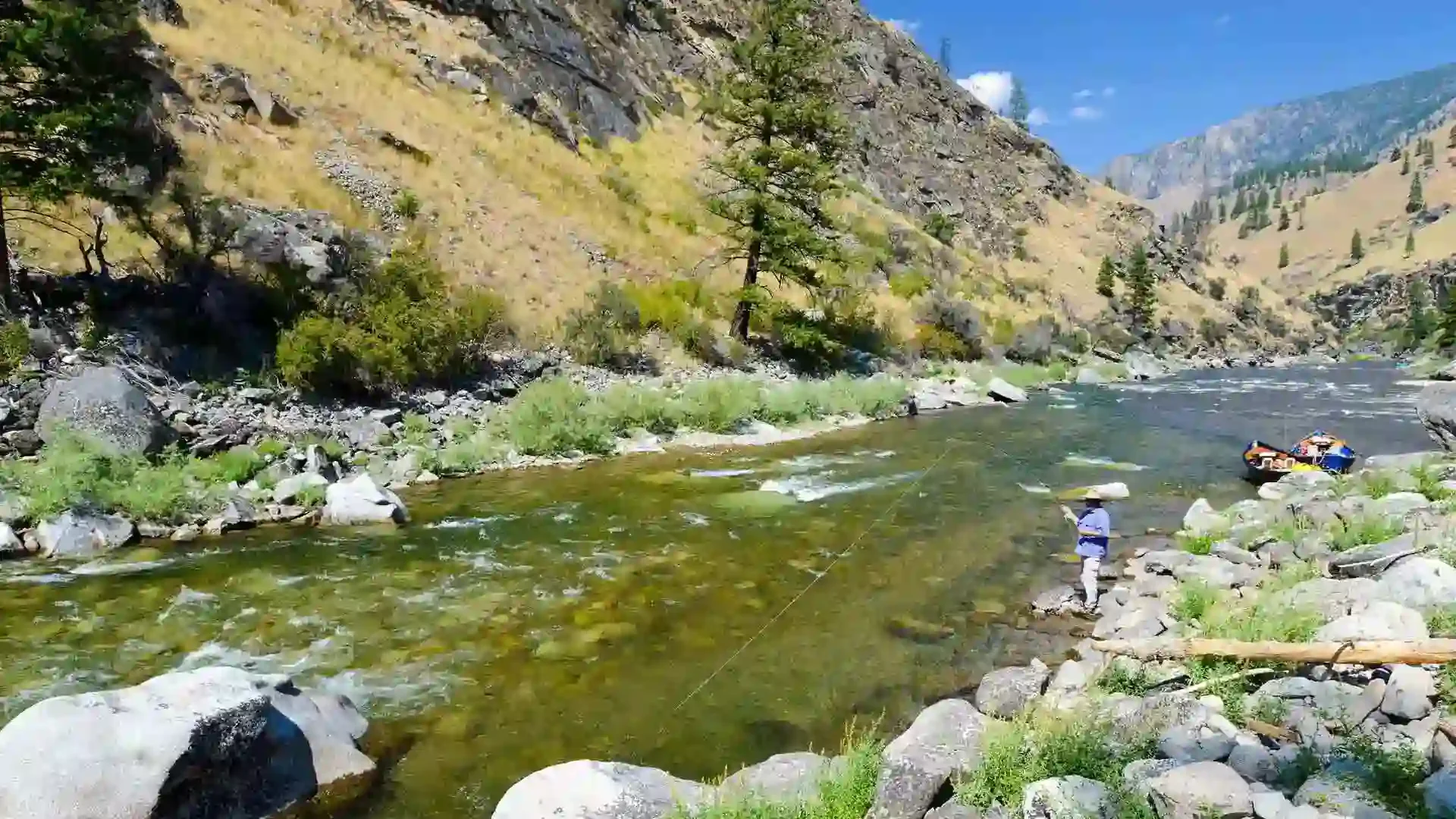 A person fly fishing in the clear, rocky Middle Fork Salmon River, surrounded by mountains under a blue sky.