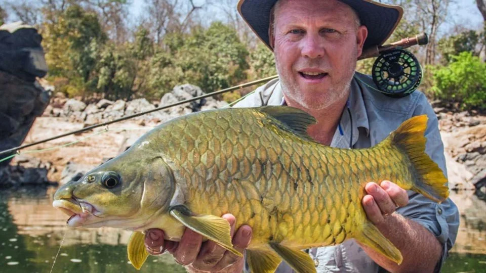 Angler holding a yellowfish caught from Gassa Camp while fishing the Faro River, Africa.
