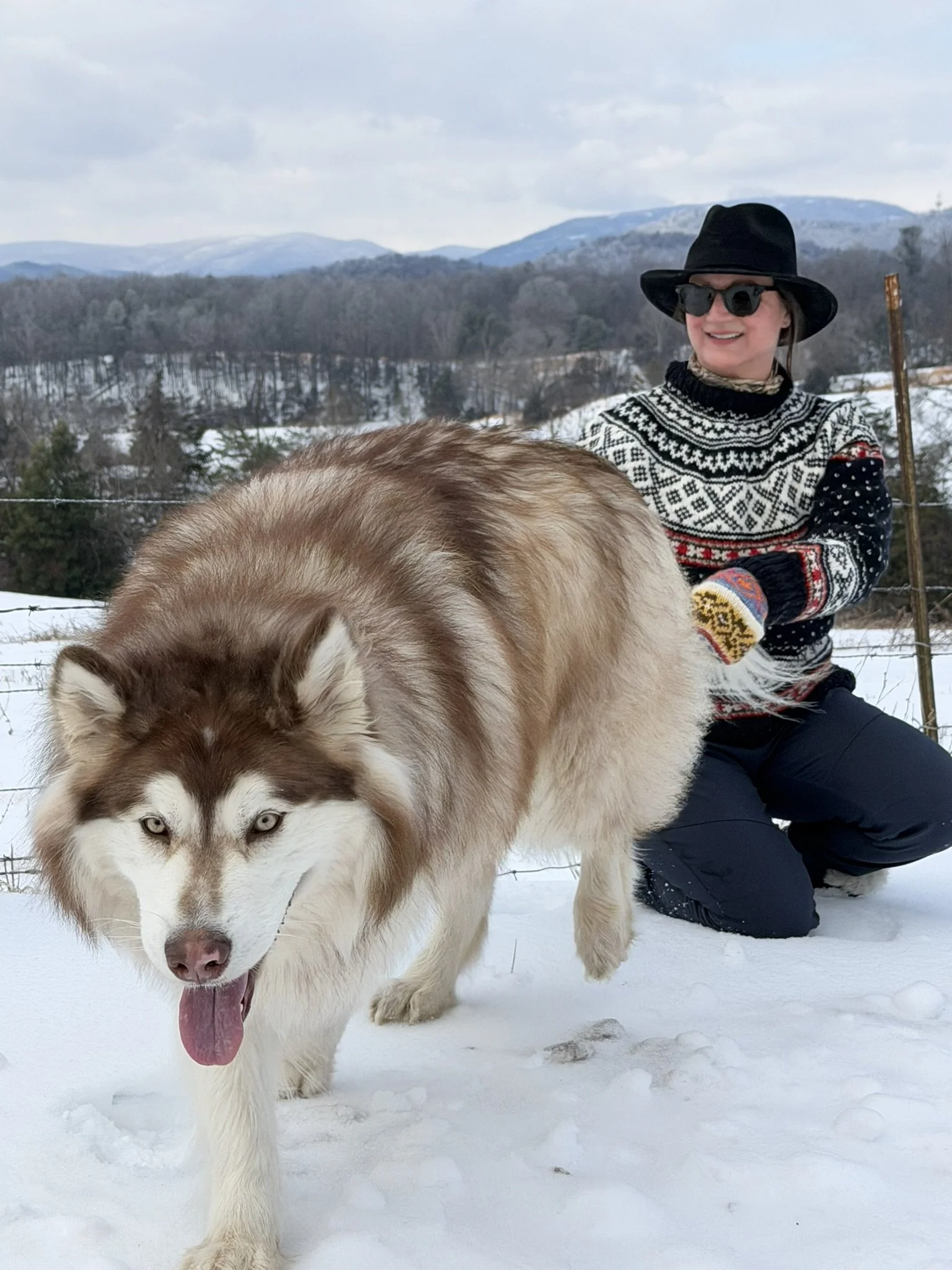 woman-fedora-colorful-sweater-alaskan-malamute-blue-ridge-winter.jpg