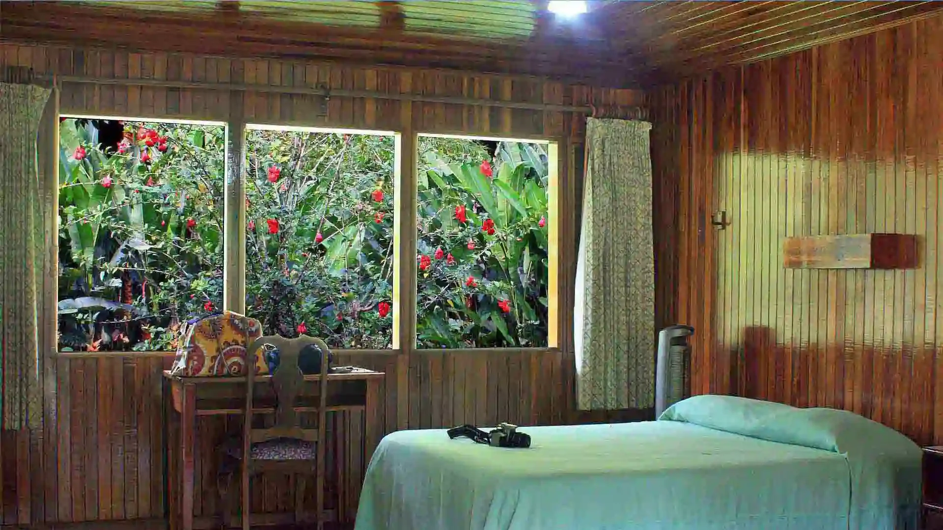 rioparisminalodge-costarica-lodge-room-jungle-view.webp