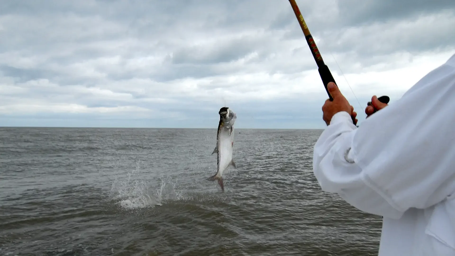 tarpon-fishing-rioparisminalodge-costarica.webp