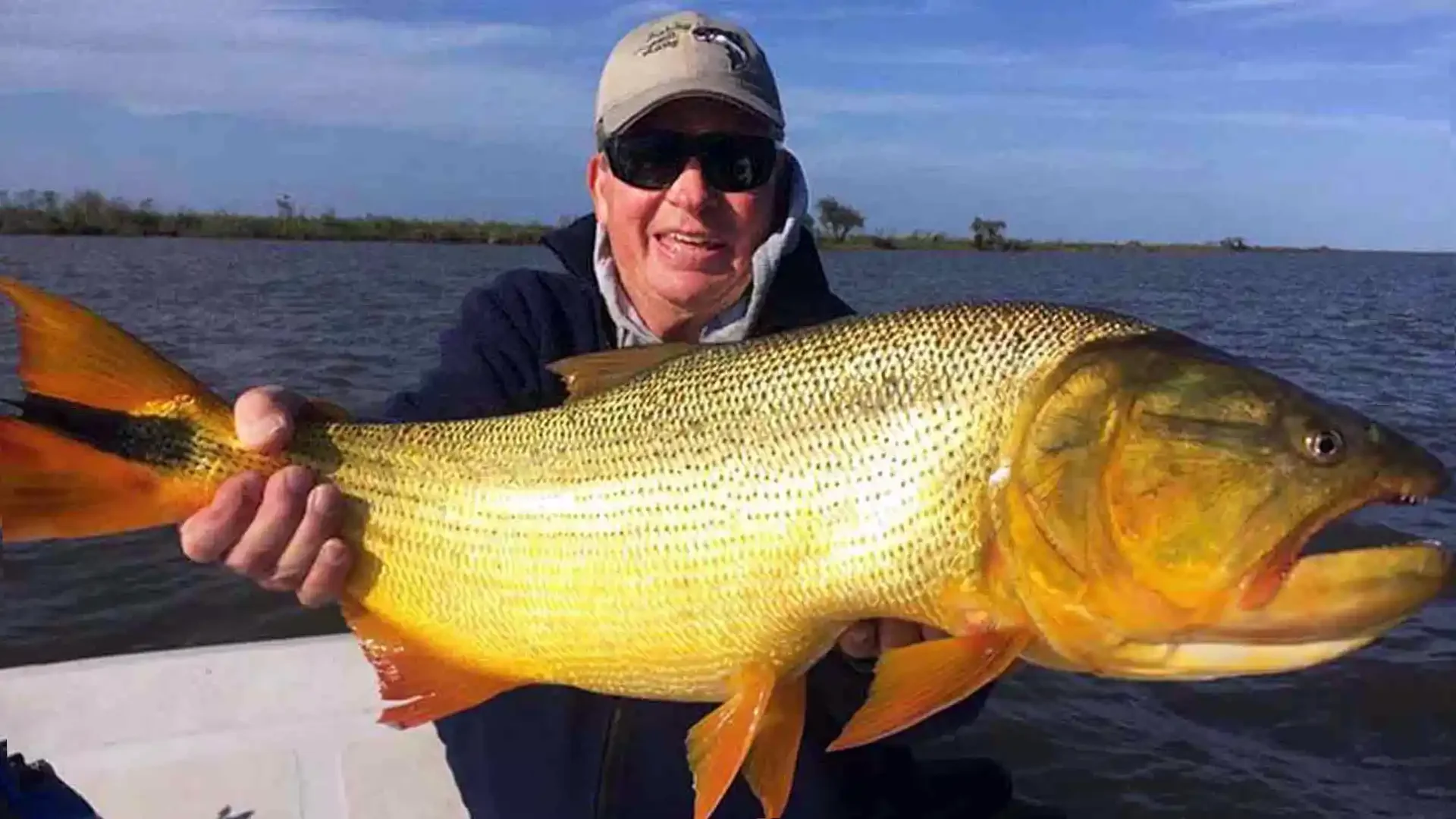Man wearing sunglasses and hat holding a large, golden yellow fish on a boat in a body of water with a distant shoreline and cloudy sky.