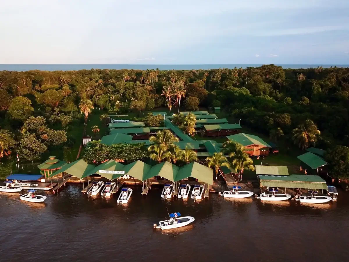 Aerial view of Silver King Lodge with boats docked along the Rio Colorado, surrounded by palm trees in Costa Rica.