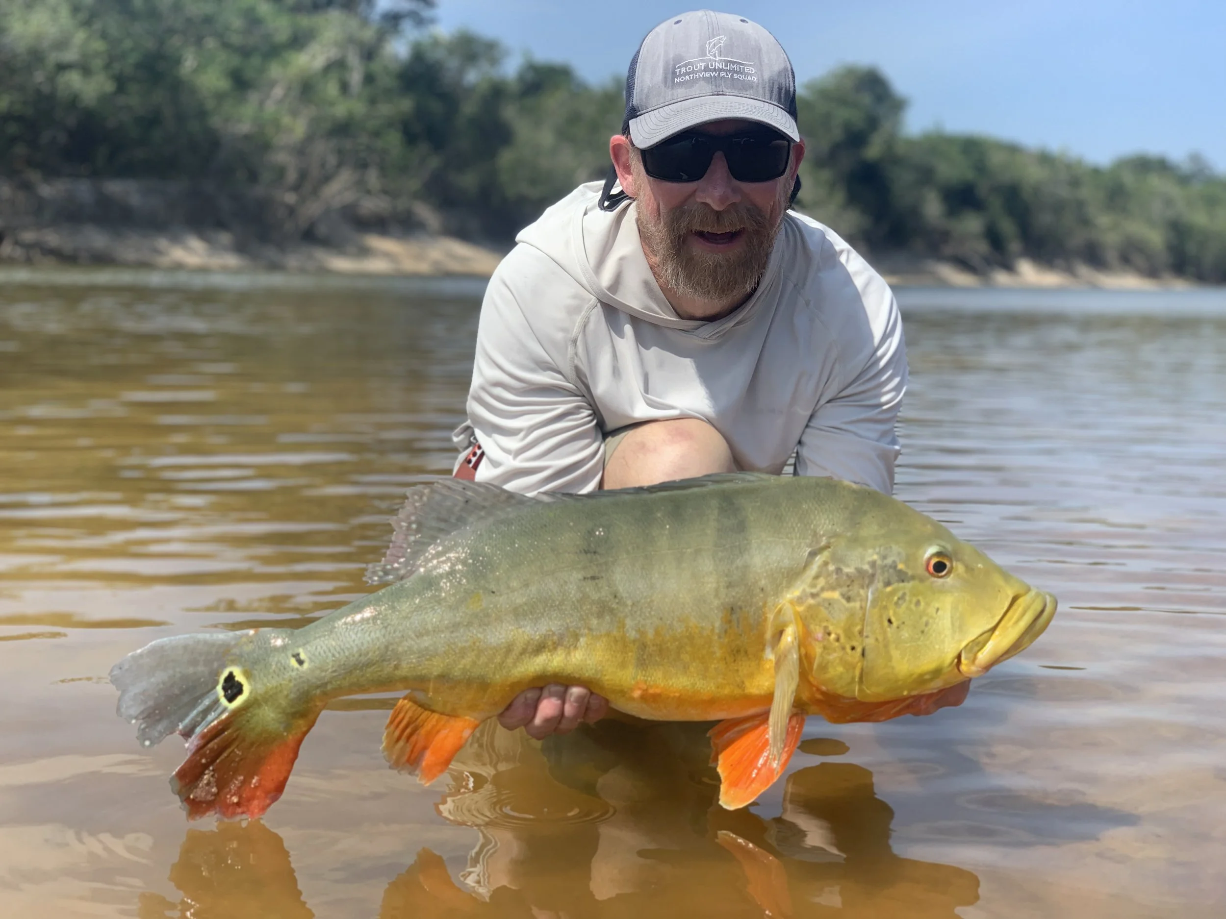 A man with a beard, sunglasses, and a baseball cap kneeling in shallow water, holding a large colorful fish with yellow, orange, and green hues. Background shows water, trees, and a cloudy sky.