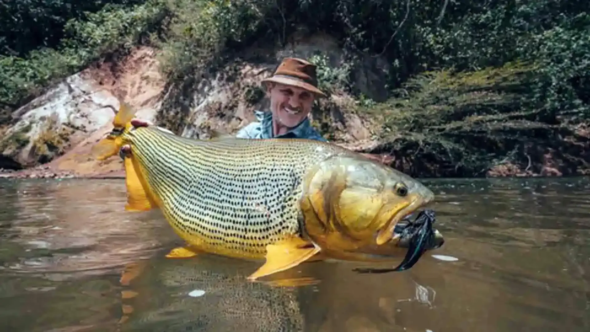 Angler holding a giant golden dorado at Tsimane Pluma Lodge, Bolivia, during an epic fly fishing adventure