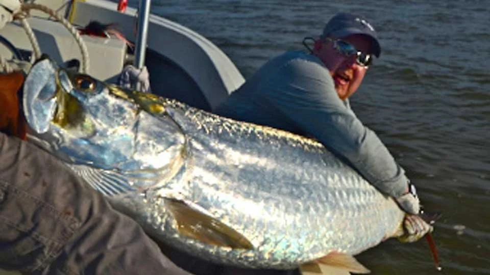 tarpon-fish.jpg
