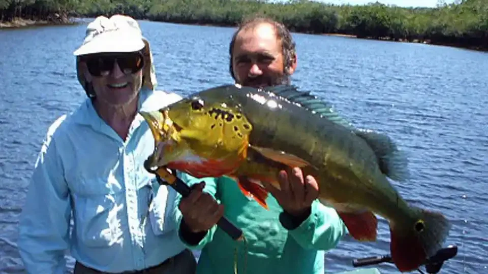 Two happy anglers on a boat proudly display a massive Peacock Bass caught at Itapara Lodge, Brazil, on a jungle river.