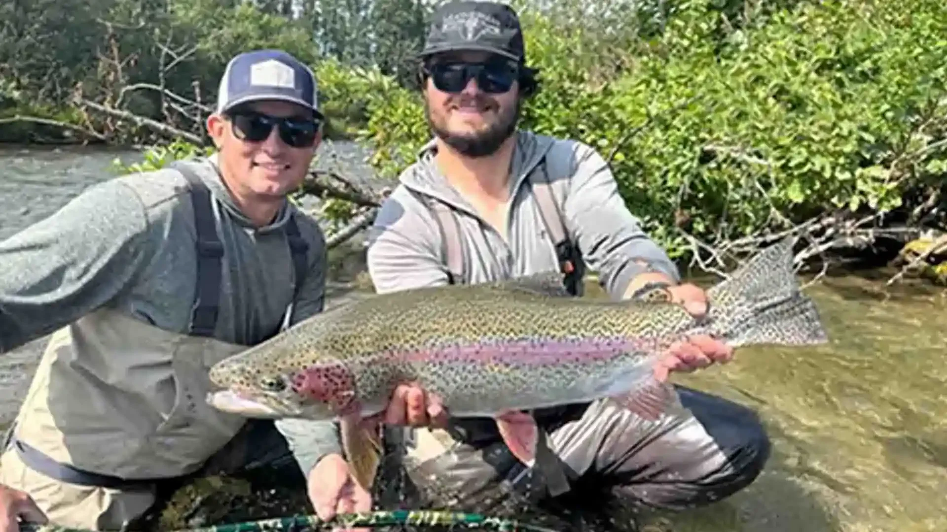 Alaska rainbow trout fishing: large trout caught on mouse pattern fly at American Creek.