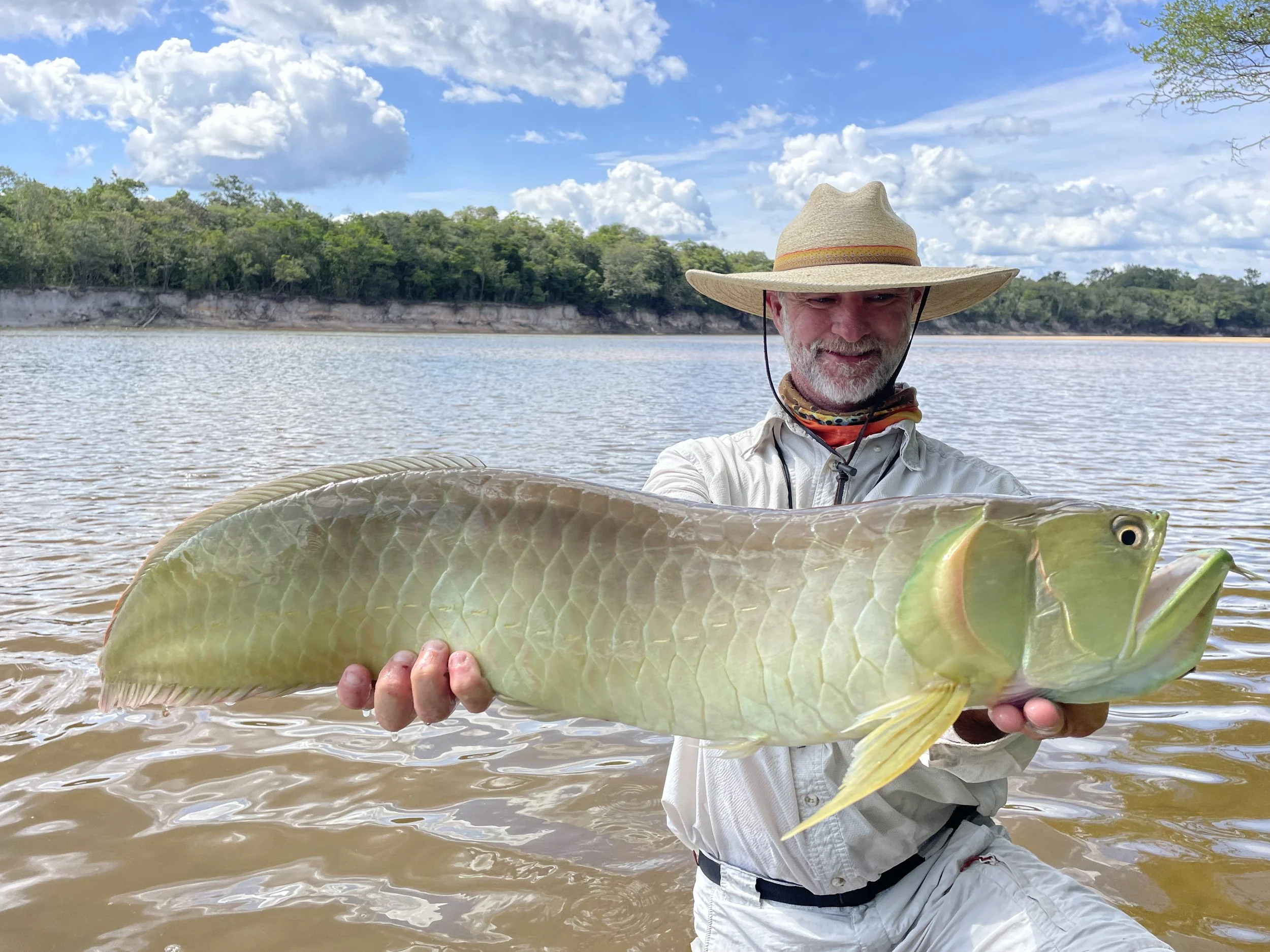 Angler holding a large arowana caught on the Agua Boa River in Brazil, a prime destination for exotic freshwater fishing.