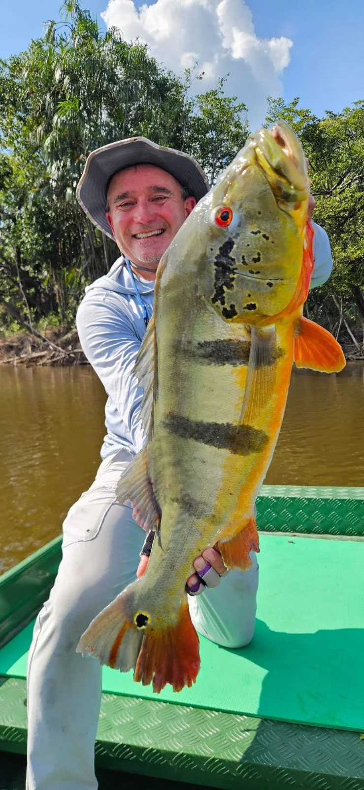 Man in a hat holding a large fish with colorful markings, on a boat with water and trees in the background.