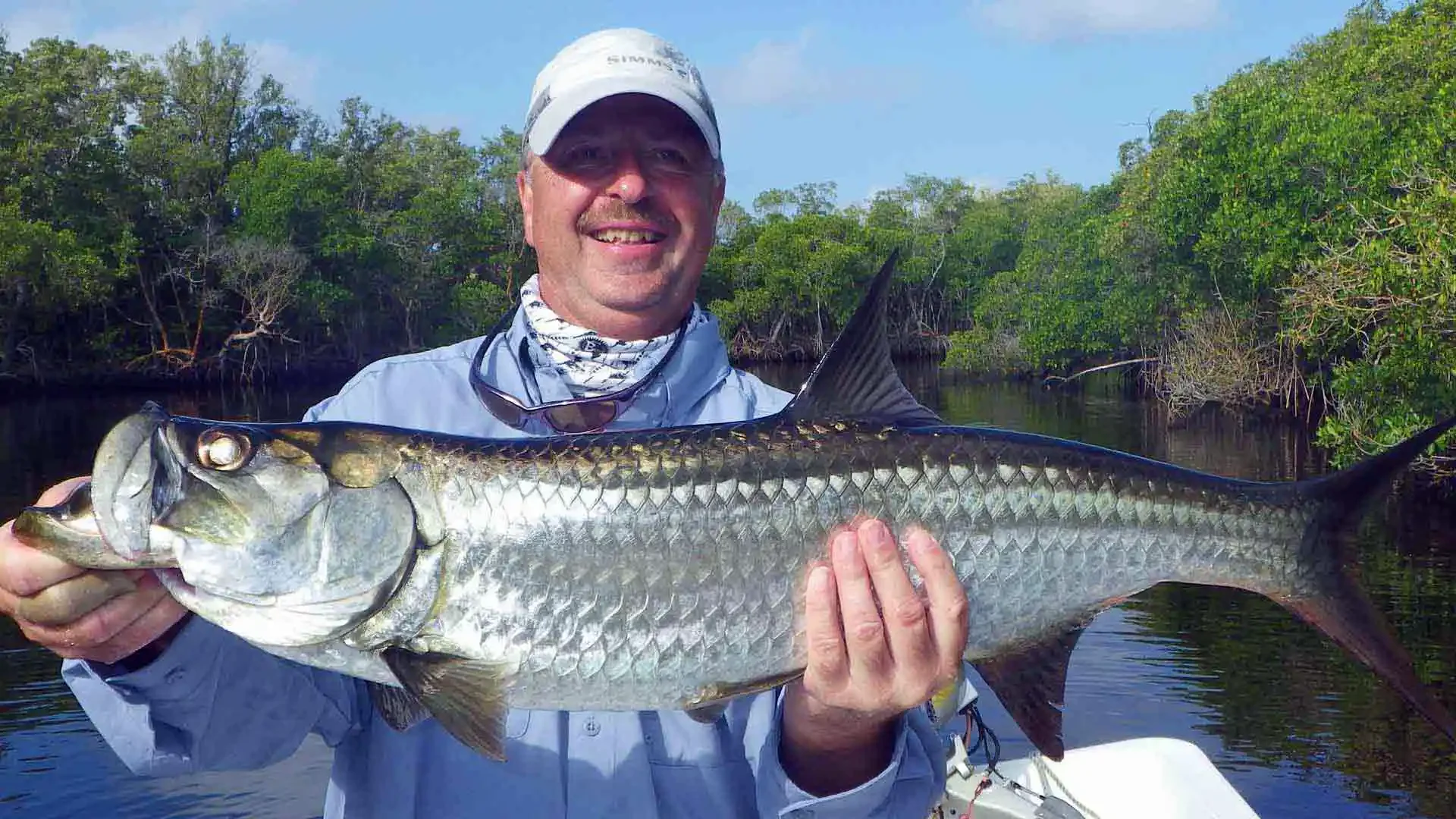 Angler holding a juvenile tarpon while fishing in the mangrove flats of Campeche, Mexico.