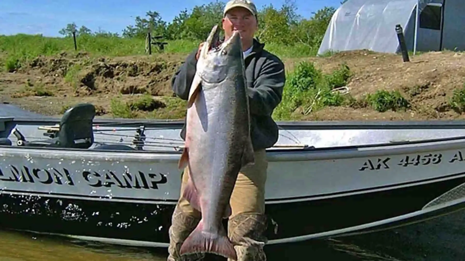 anderson-alaska-salmon-camp-king-salmon-fishing.webp