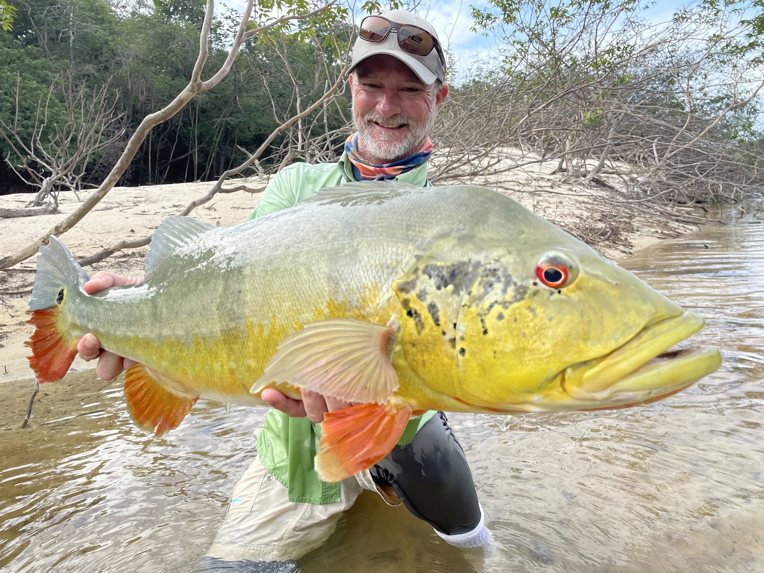 Fly angler standing in the Agua Boa River holding a trophy peacock bass caught at Agua Boa Amazon Lodge, Brazil
