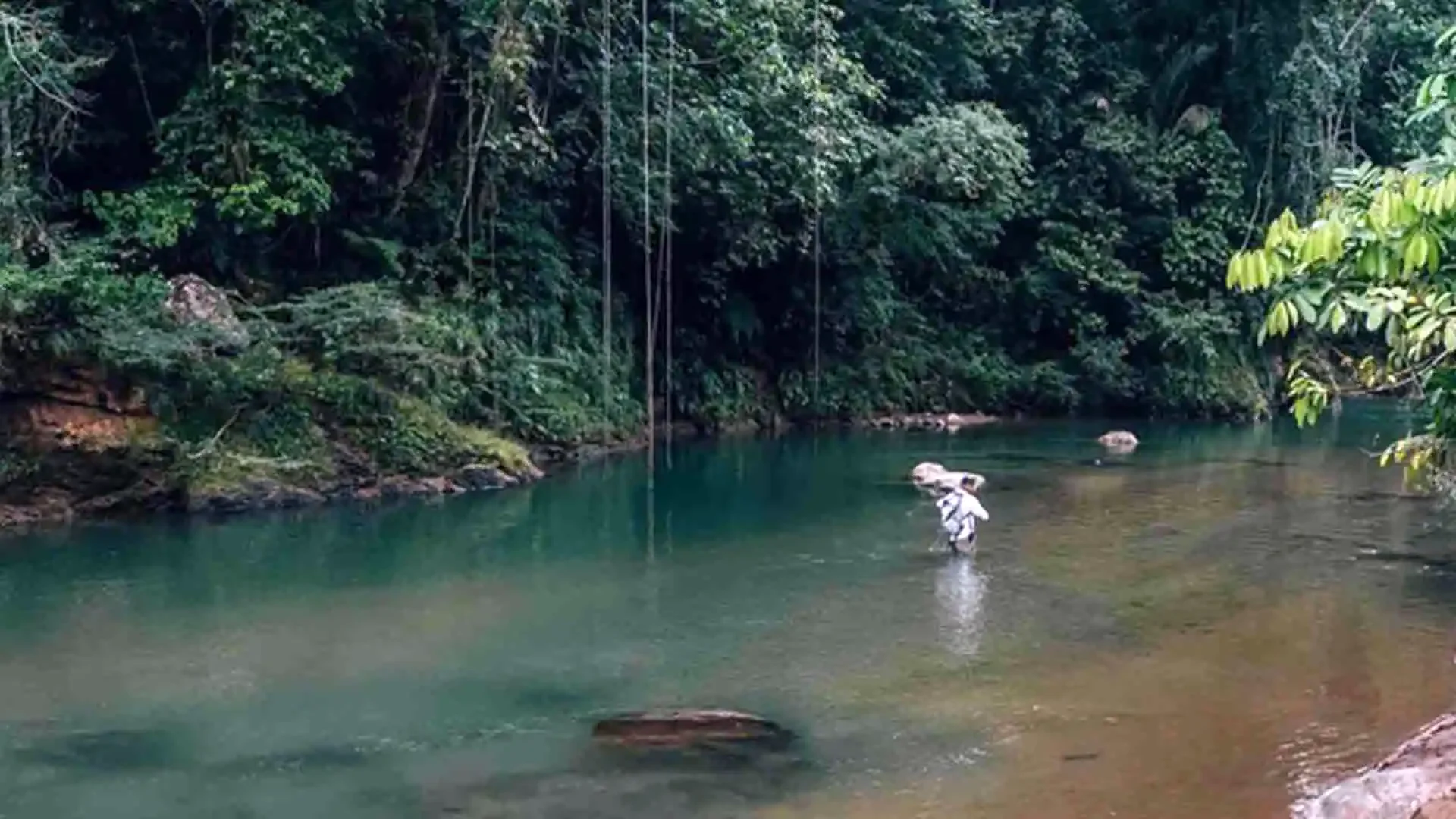 Angler wading in the crystal-clear waters of the Agua Negra River fly fishing