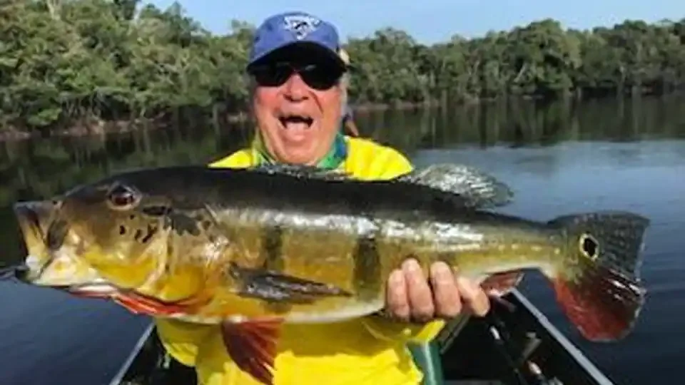 Excited angler holding a large peacock bass caught at Itapará Lodge, Brazil, on a jungle river.