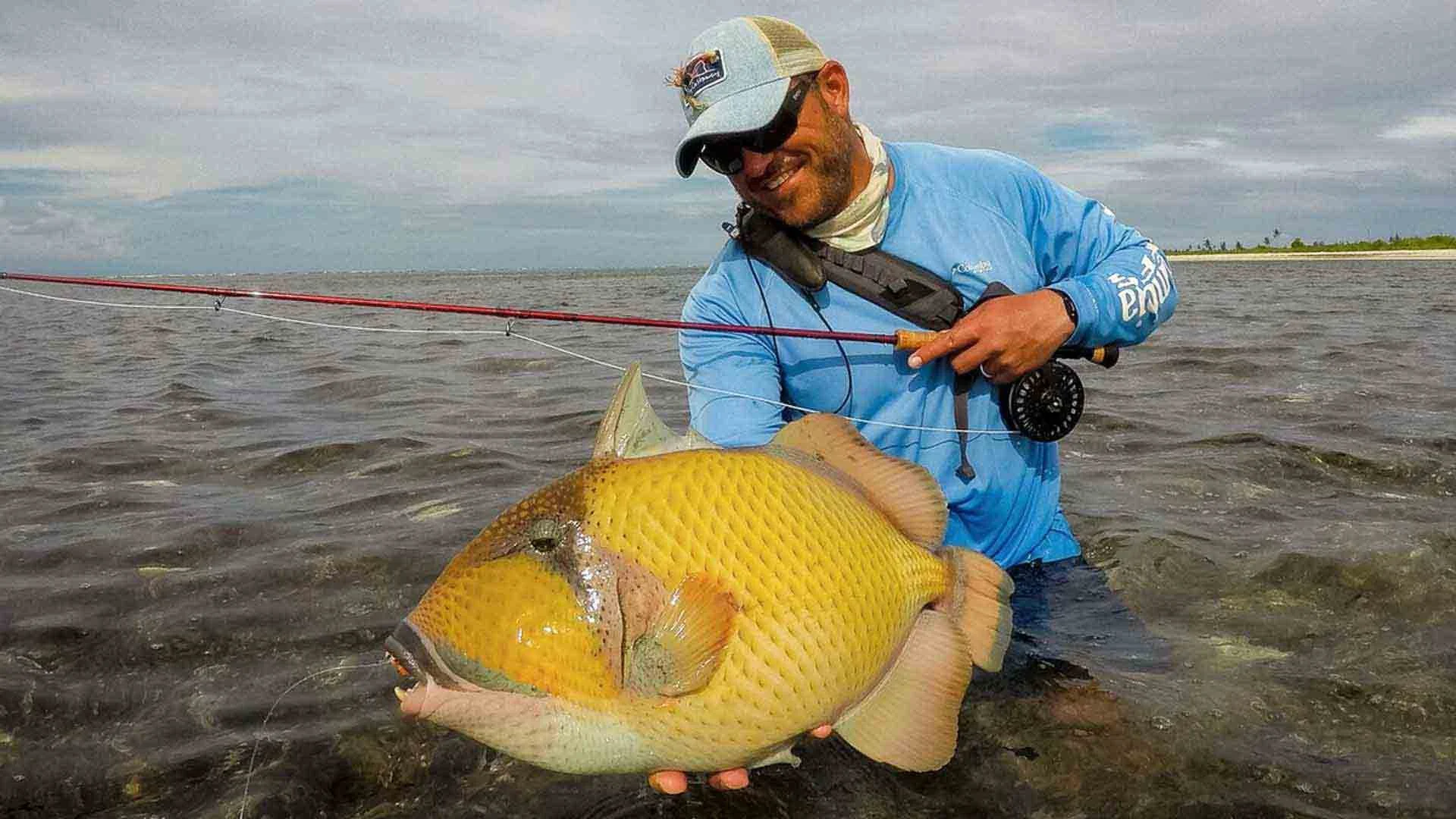Angler kneeling in the shallow waters of Farquhar Atoll, Seychelles, holding a vibrant yellow and brown triggerfish.