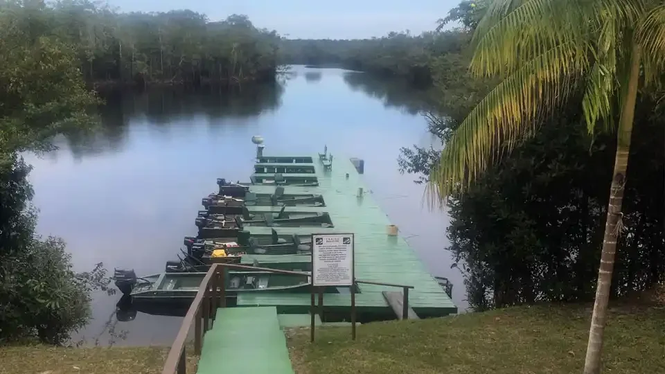 Green dock with fishing boats on a jungle river at Itapará Lodge, Brazil, surrounded by lush rainforest.