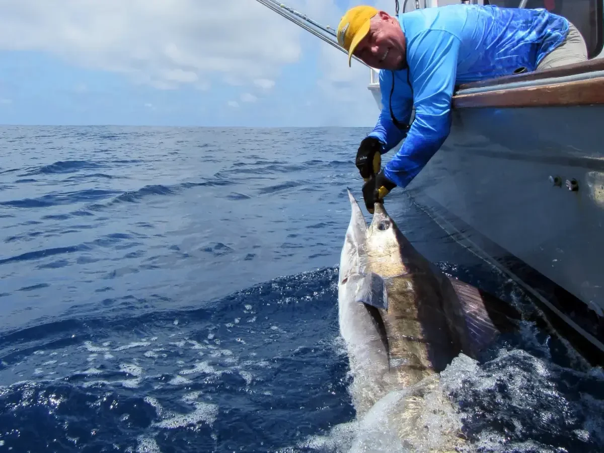 marlin-fishing-galapagos-islands-angler-boat-catch.webp