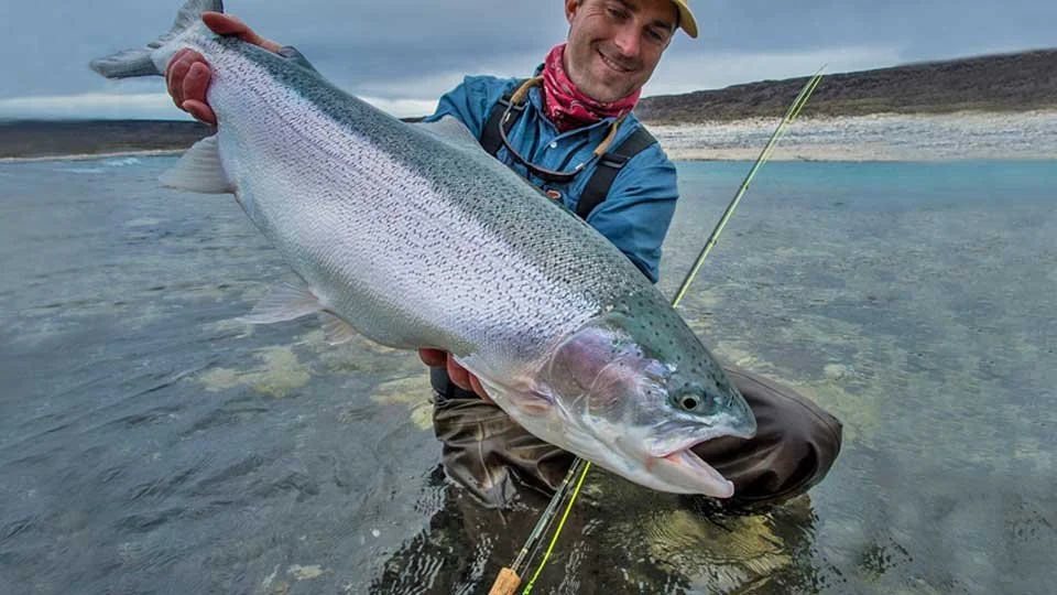 Trophy rainbow trout caught at Jurassic Lake (Lake Strobel) in Patagonia, Argentina, a premier fly fishing destination