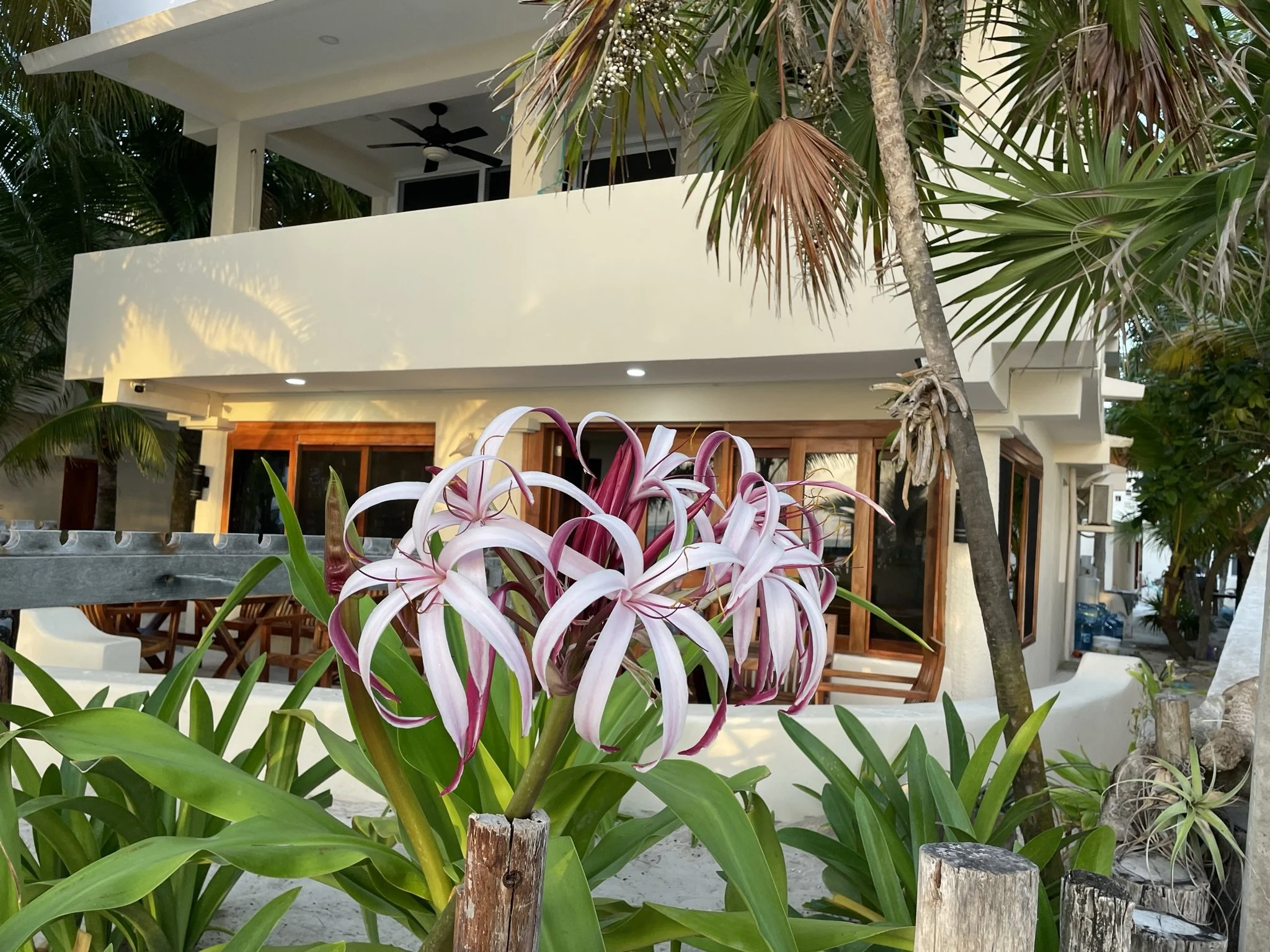 A tropical house with wooden accents, surrounded by lush greenery and pink and white lilies in the foreground.