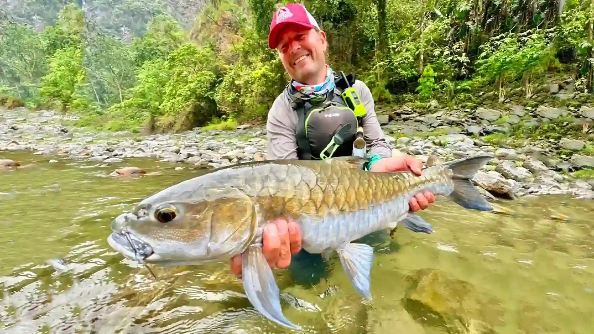 golden-mahseer-bhutan-jungle-river-fly-fishing.webp